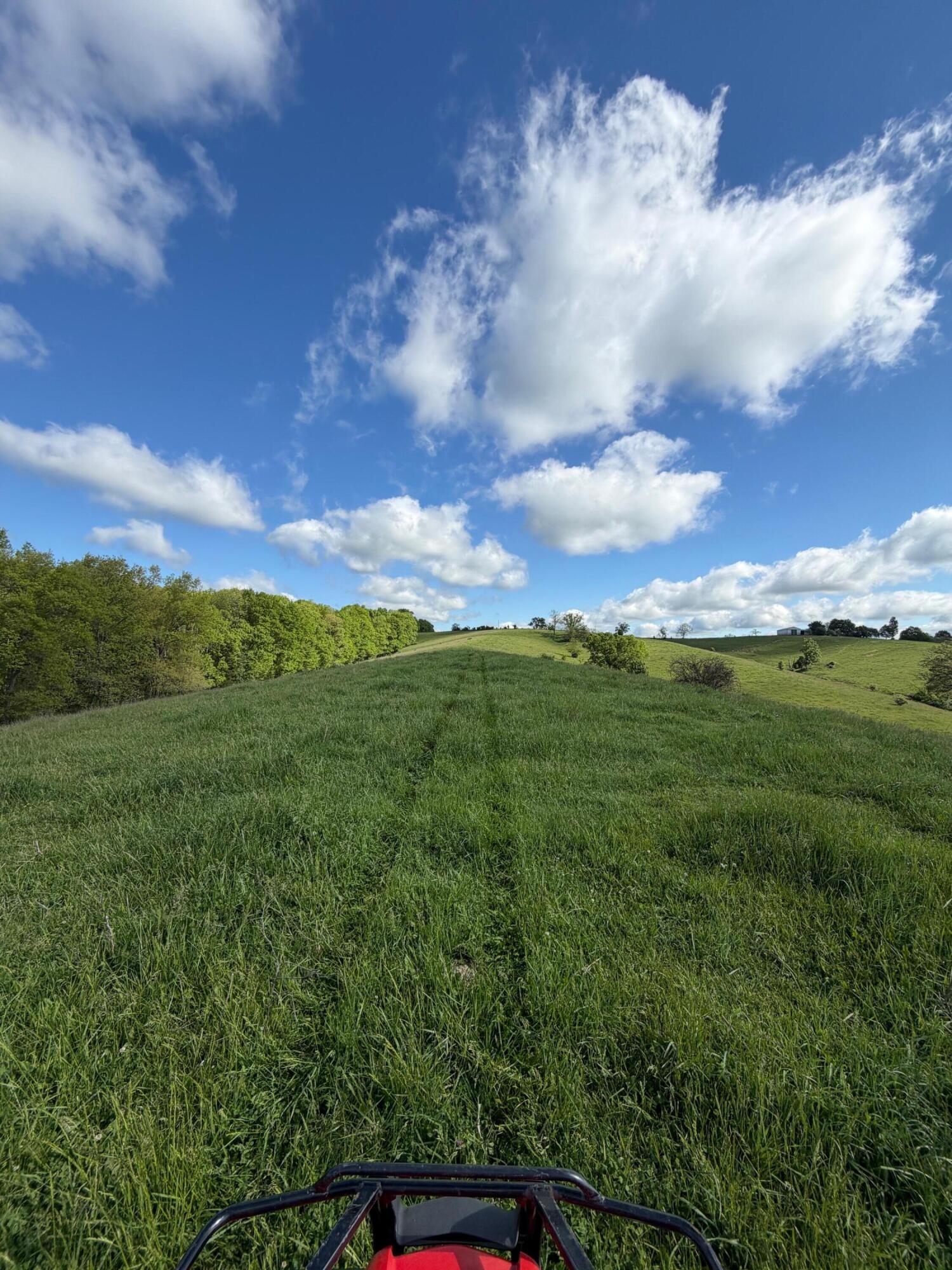 14.17 Ac Chipman Ridge Road Property Photo 10