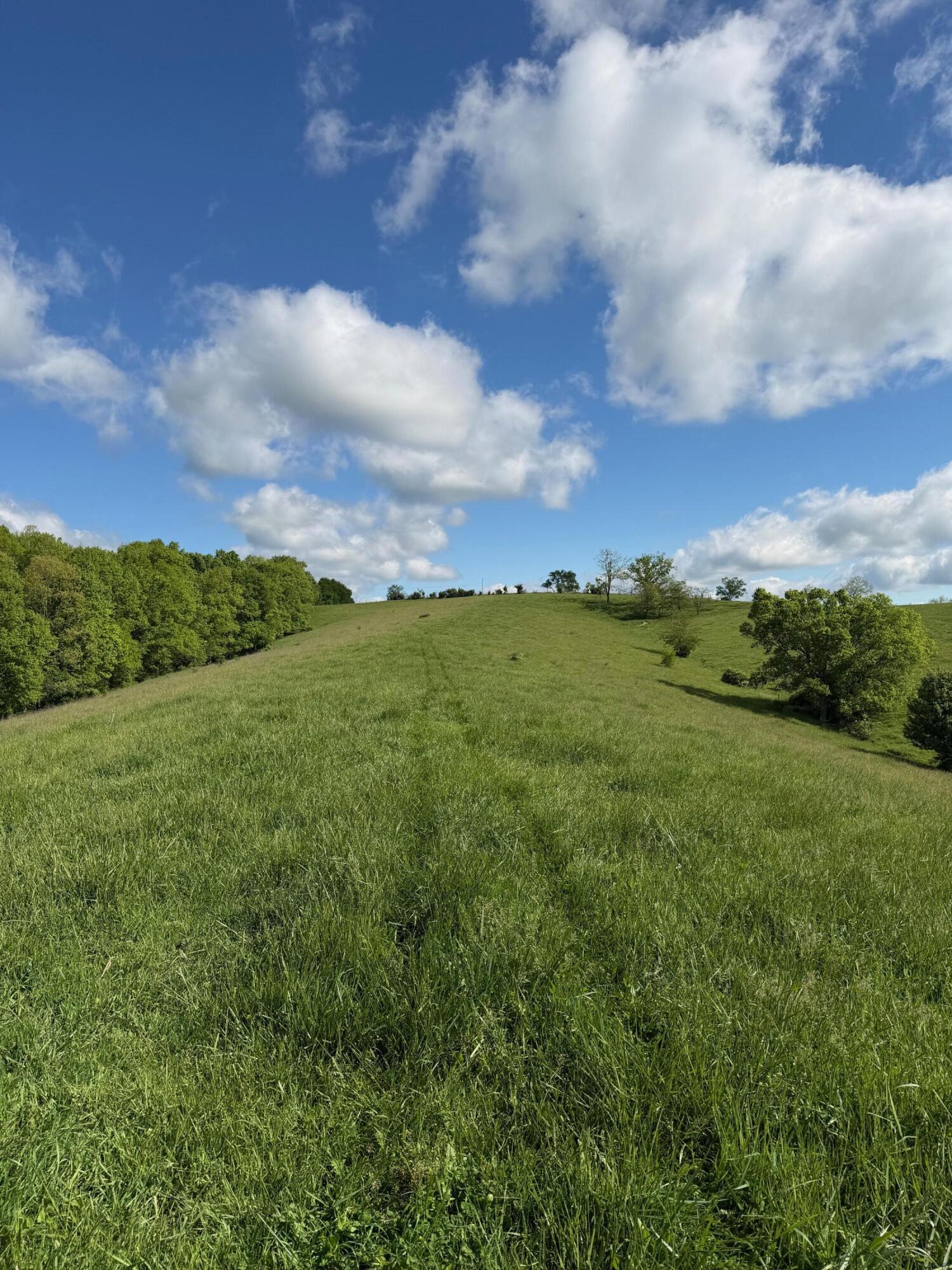14.17 Ac Chipman Ridge Road Property Photo 11