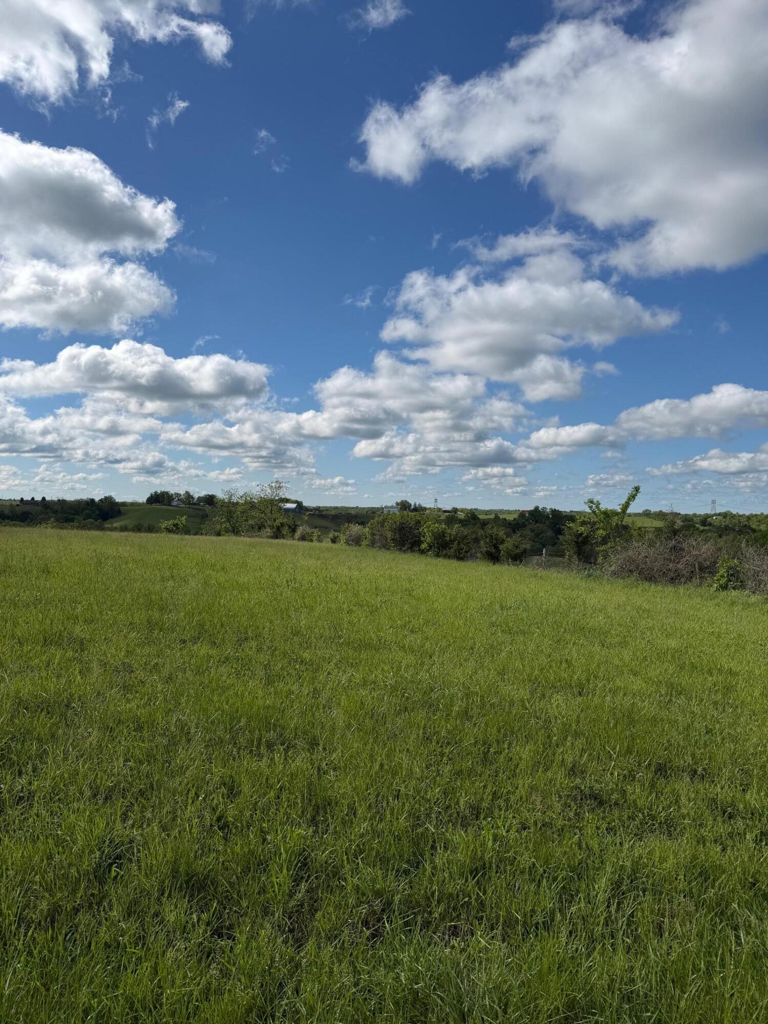 14.17 Ac Chipman Ridge Road Property Photo 12