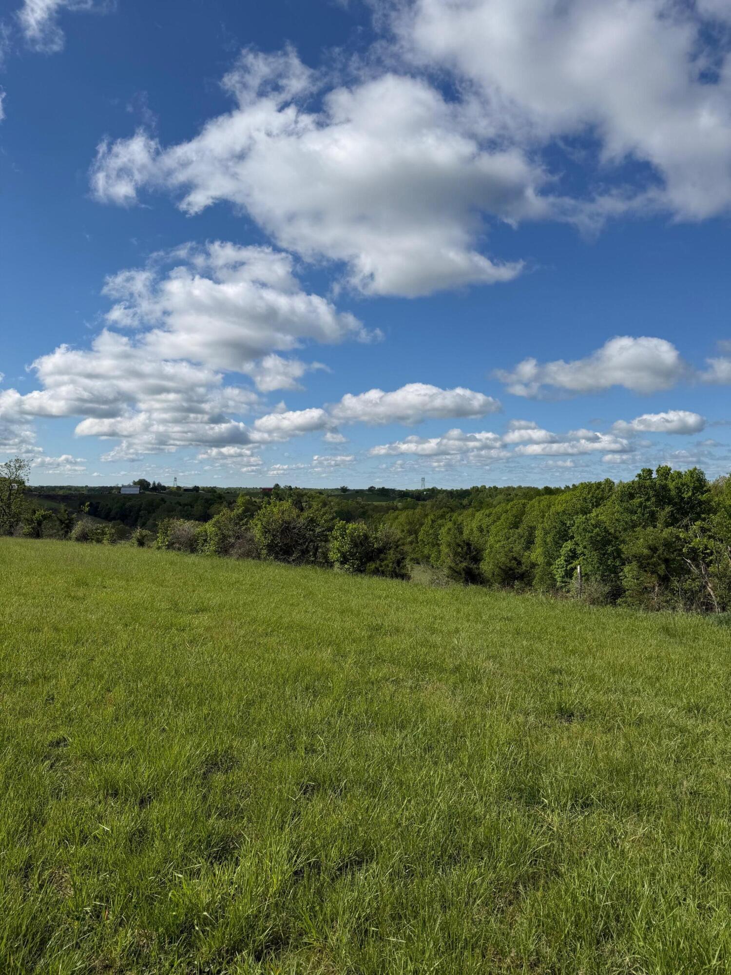 14.17 Ac Chipman Ridge Road Property Photo 13
