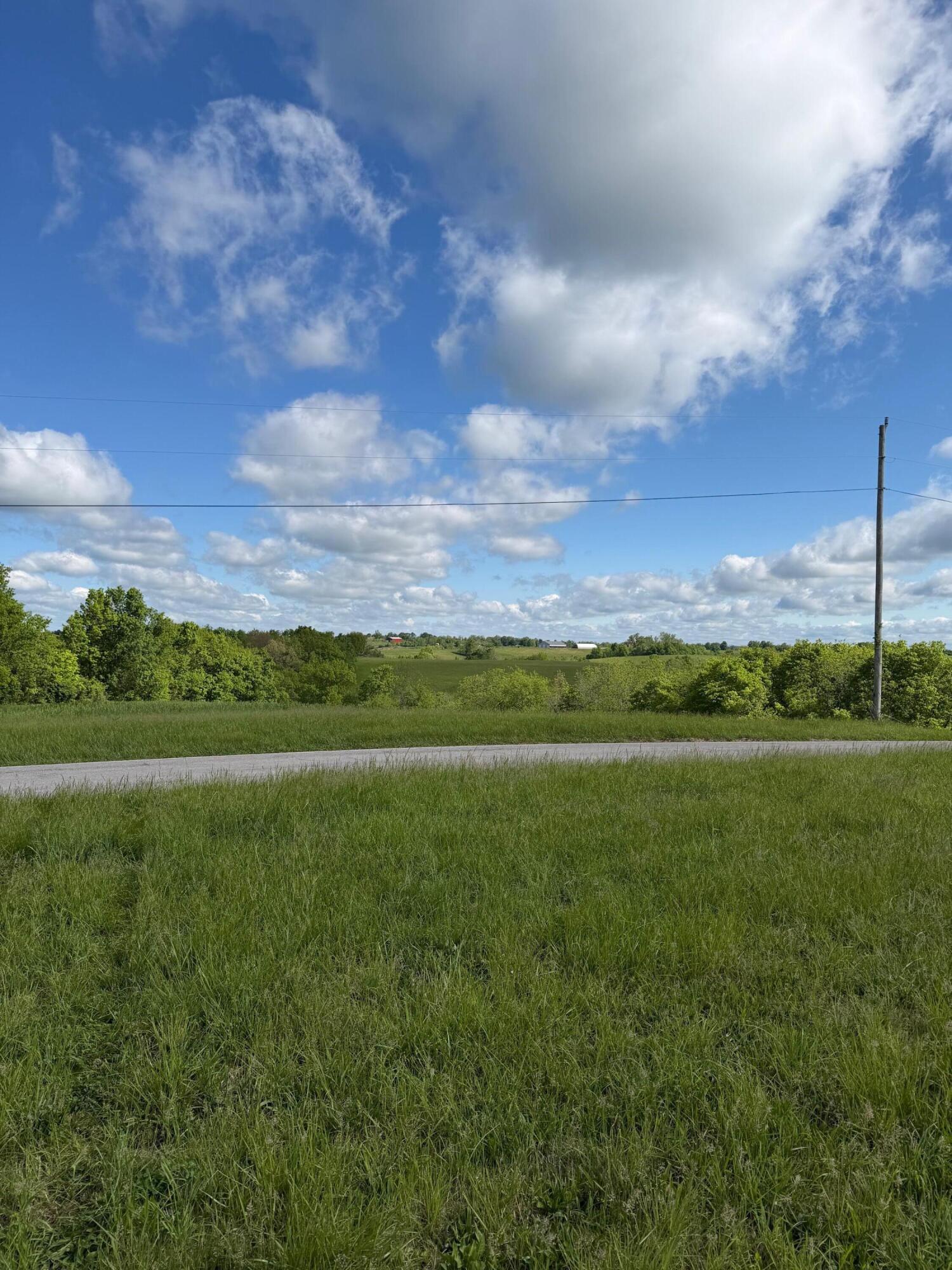 14.17 Ac Chipman Ridge Road Property Photo 14