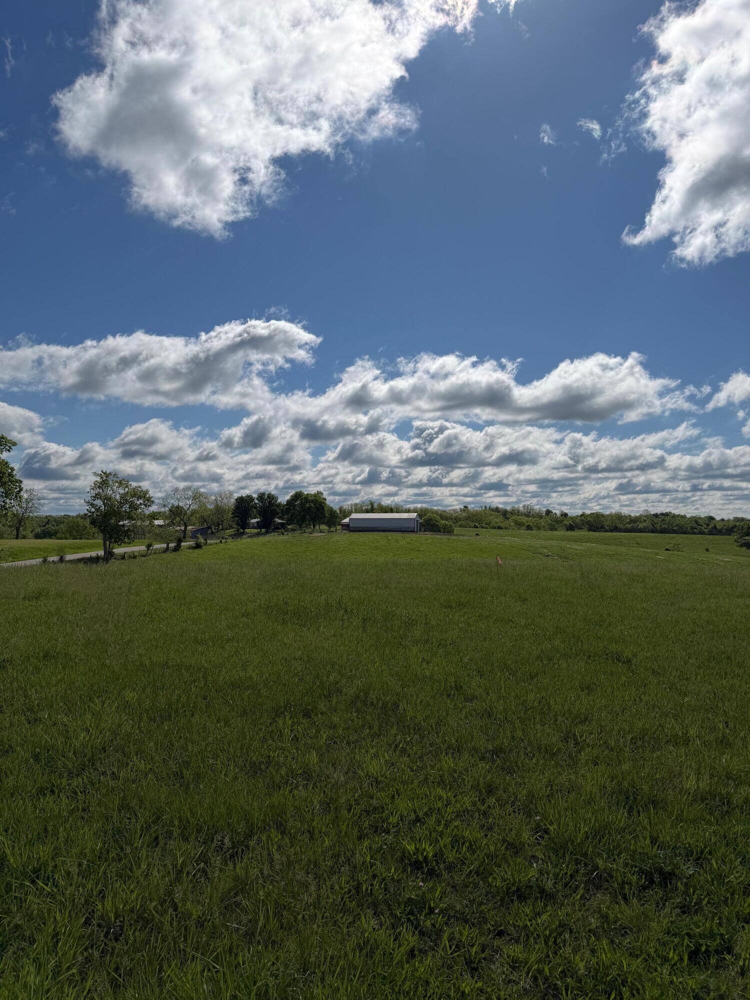 14.17 Ac Chipman Ridge Road Property Photo 15