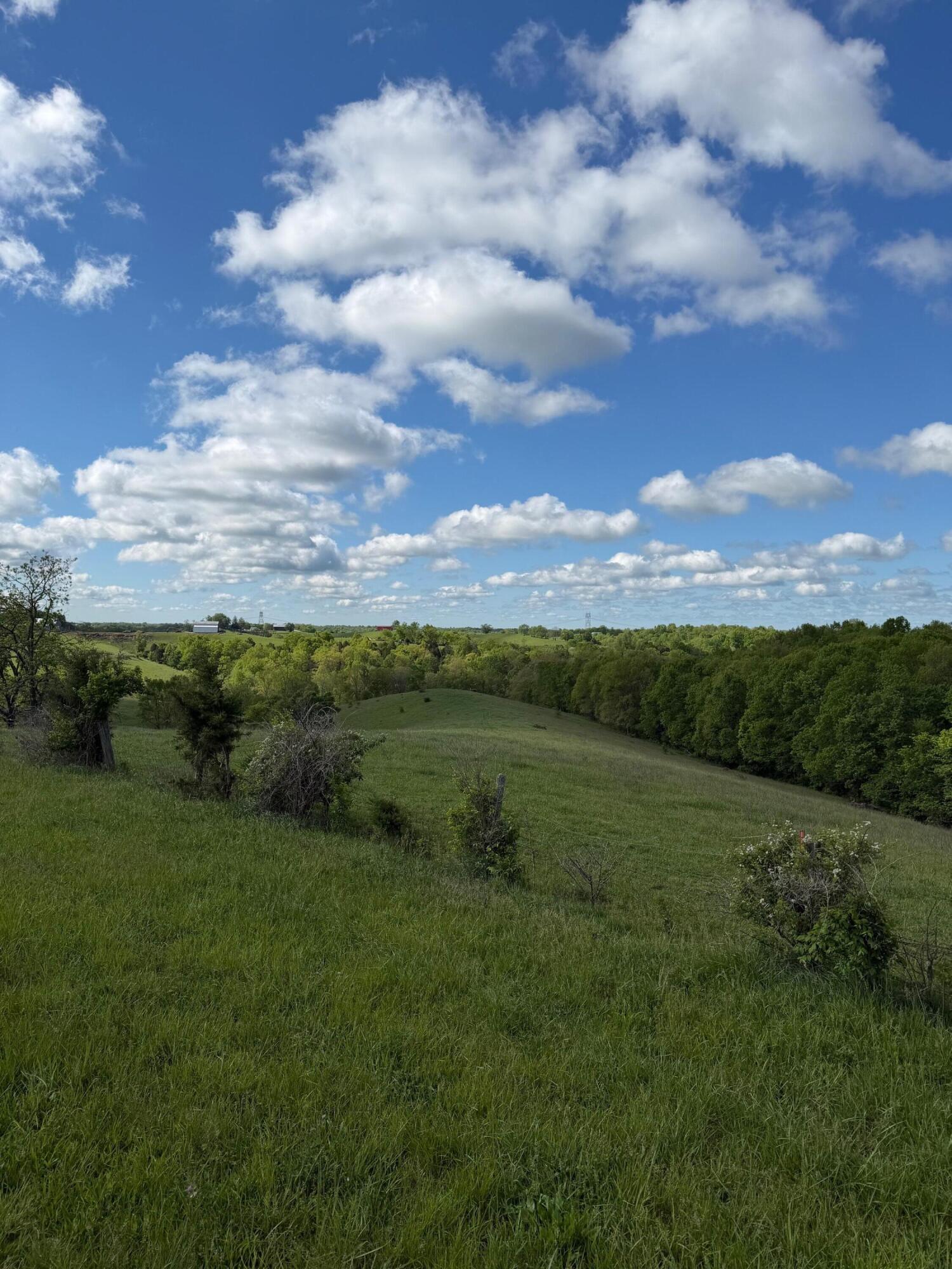 14.17 Ac Chipman Ridge Road Property Photo 16