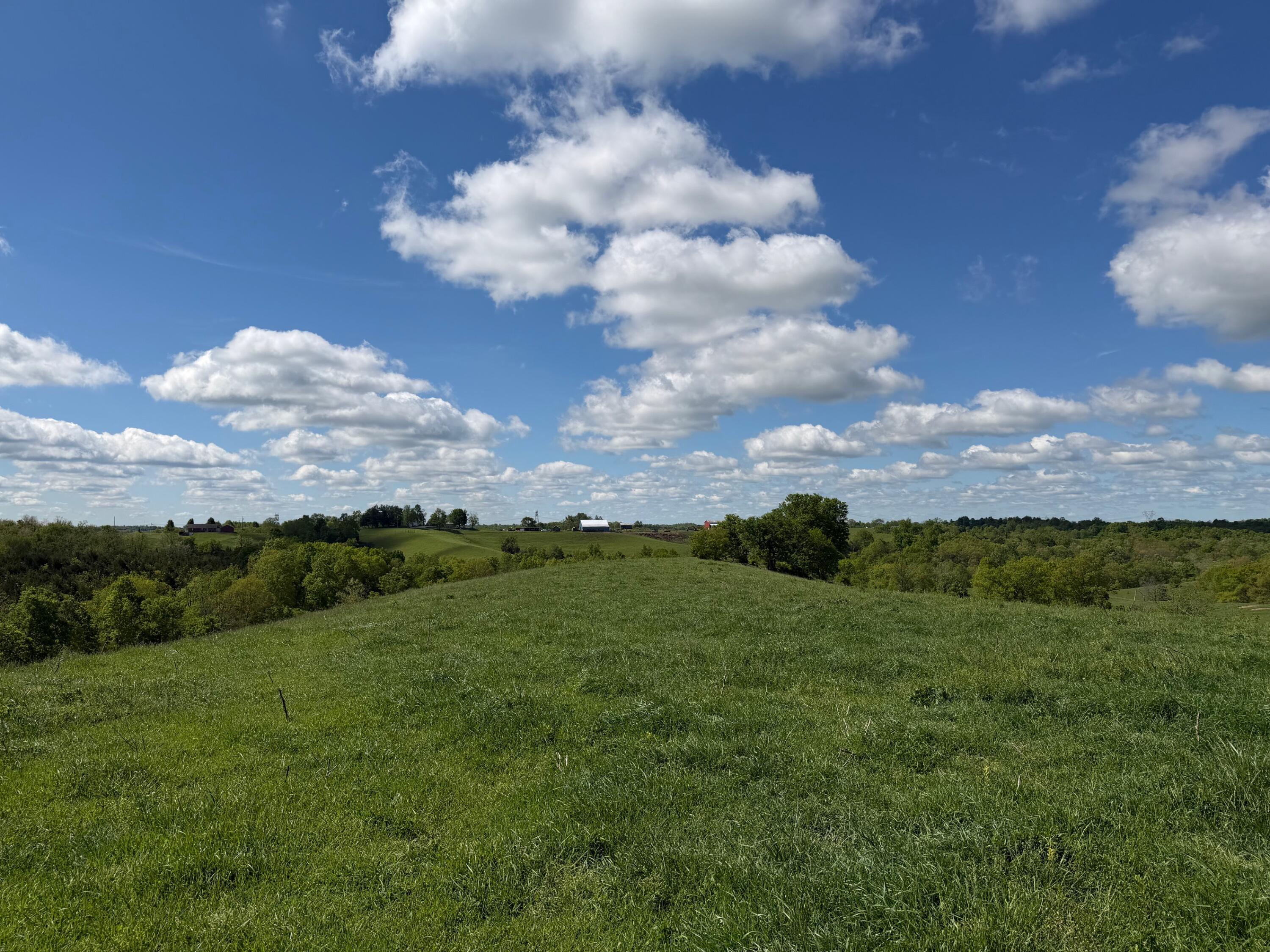 24.81 Ac Chipman Ridge Road Property Photo 1