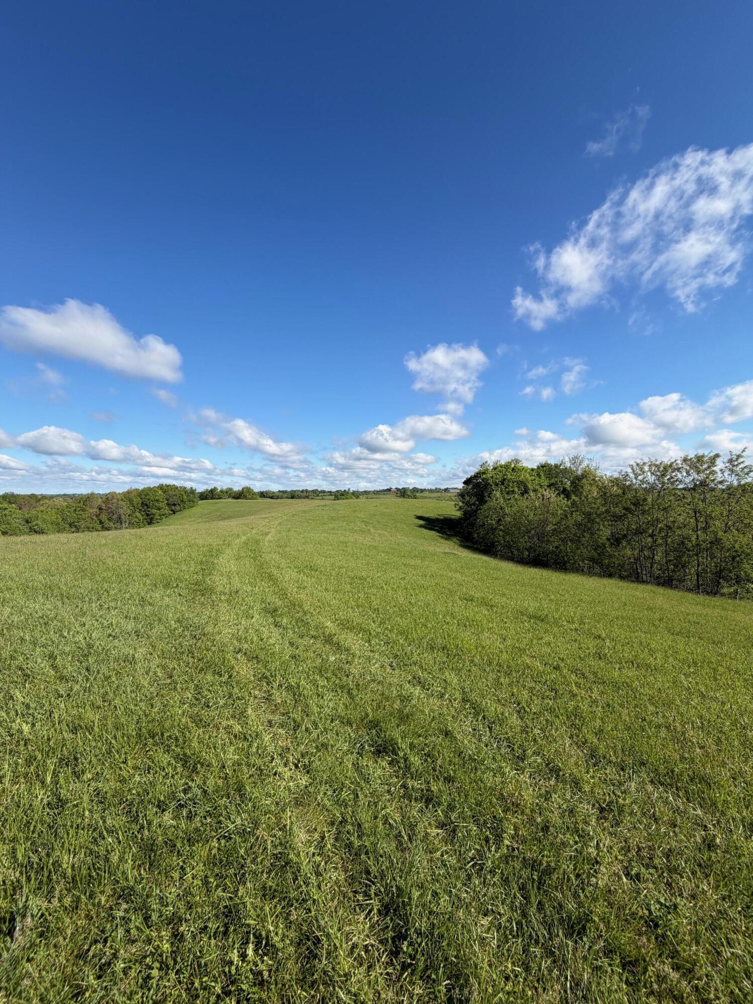 32.28 Ac Chipman Ridge Road Property Photo 1