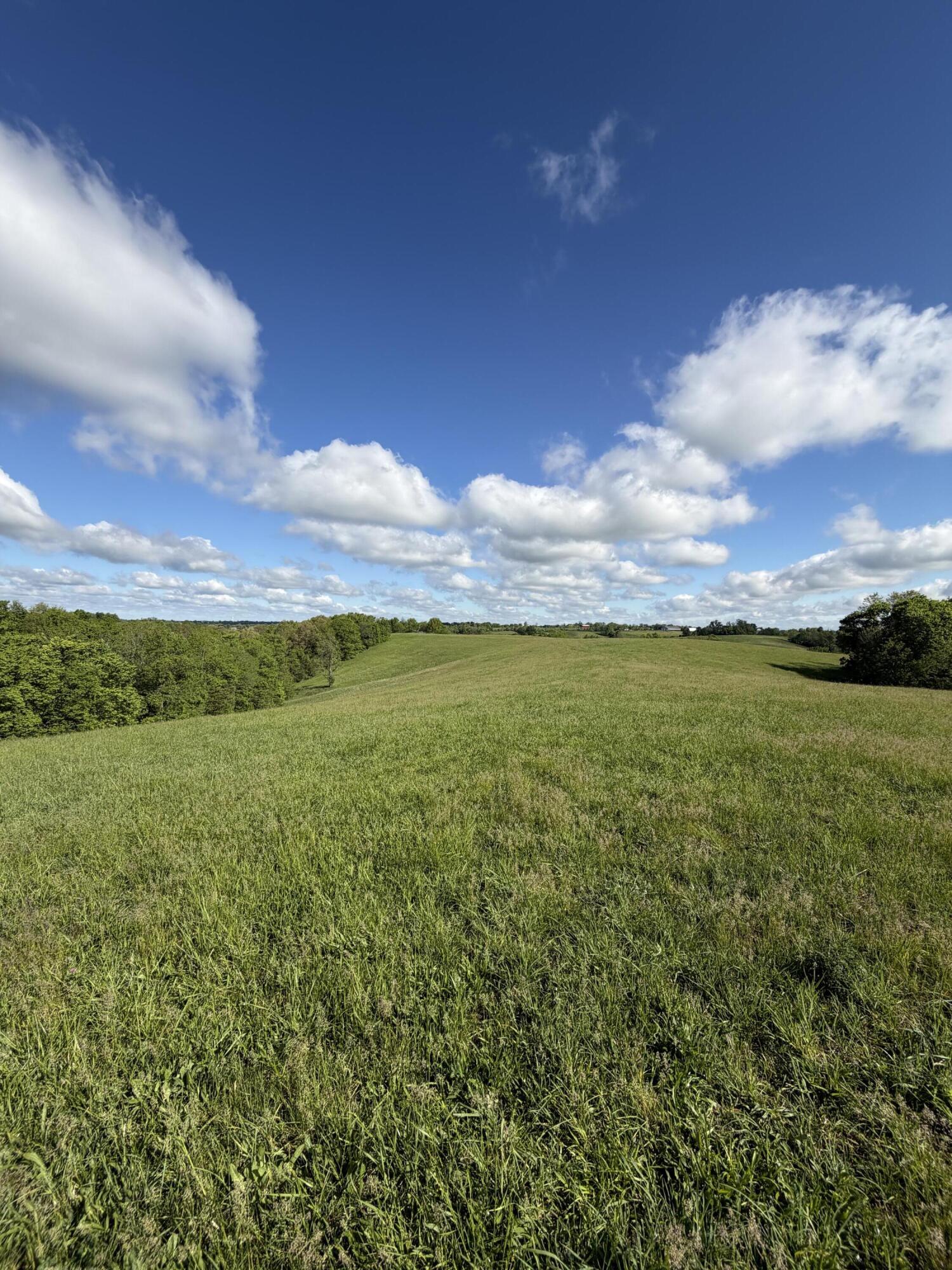 5.11 Ac Chipman Ridge Road Property Photo 1
