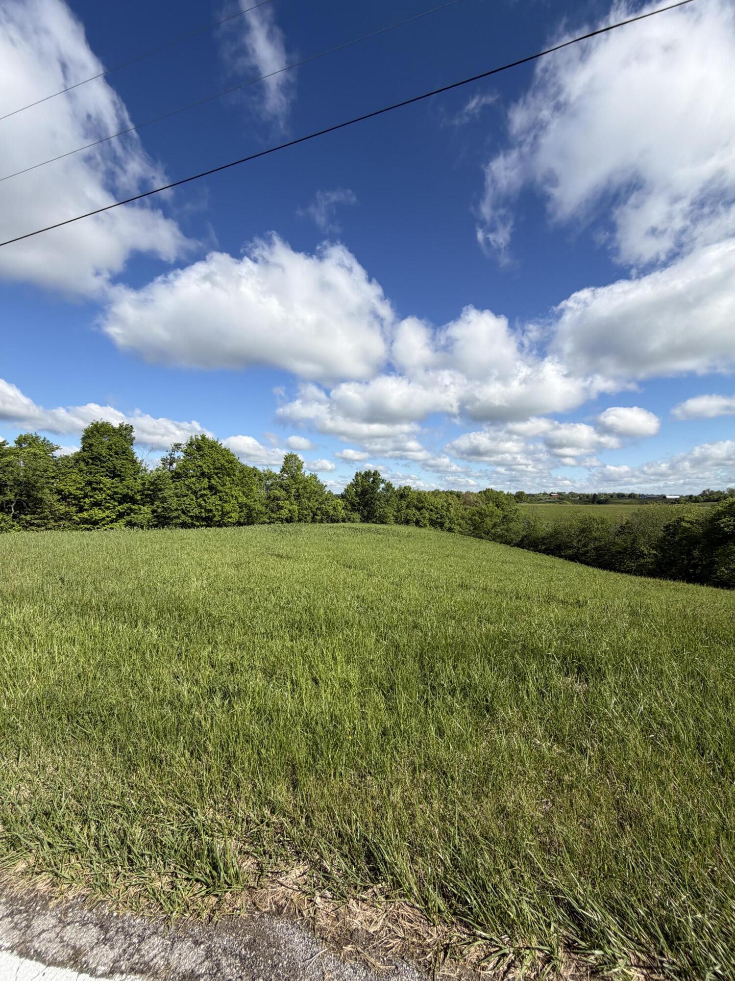 5.28 Ac Chipman Ridge Road Property Photo 1