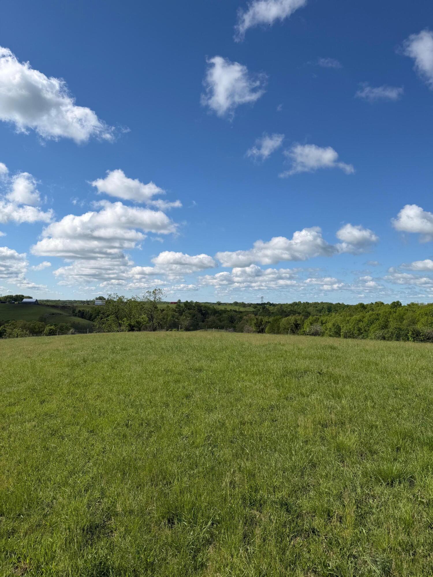 6.93 Ac Chipman Ridge Road Property Photo 1
