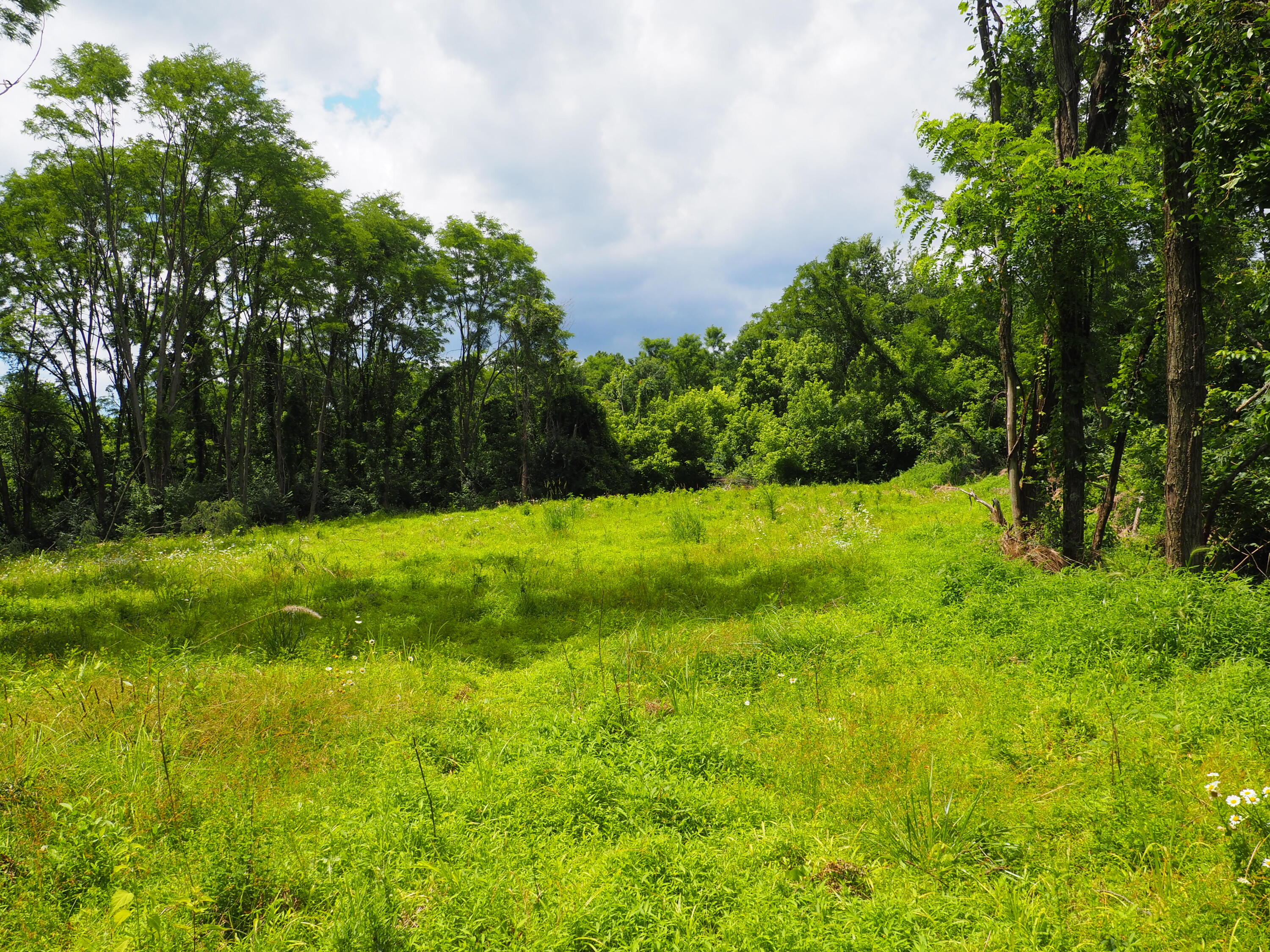 8185 Camp Ernst Road Property Photo 1
