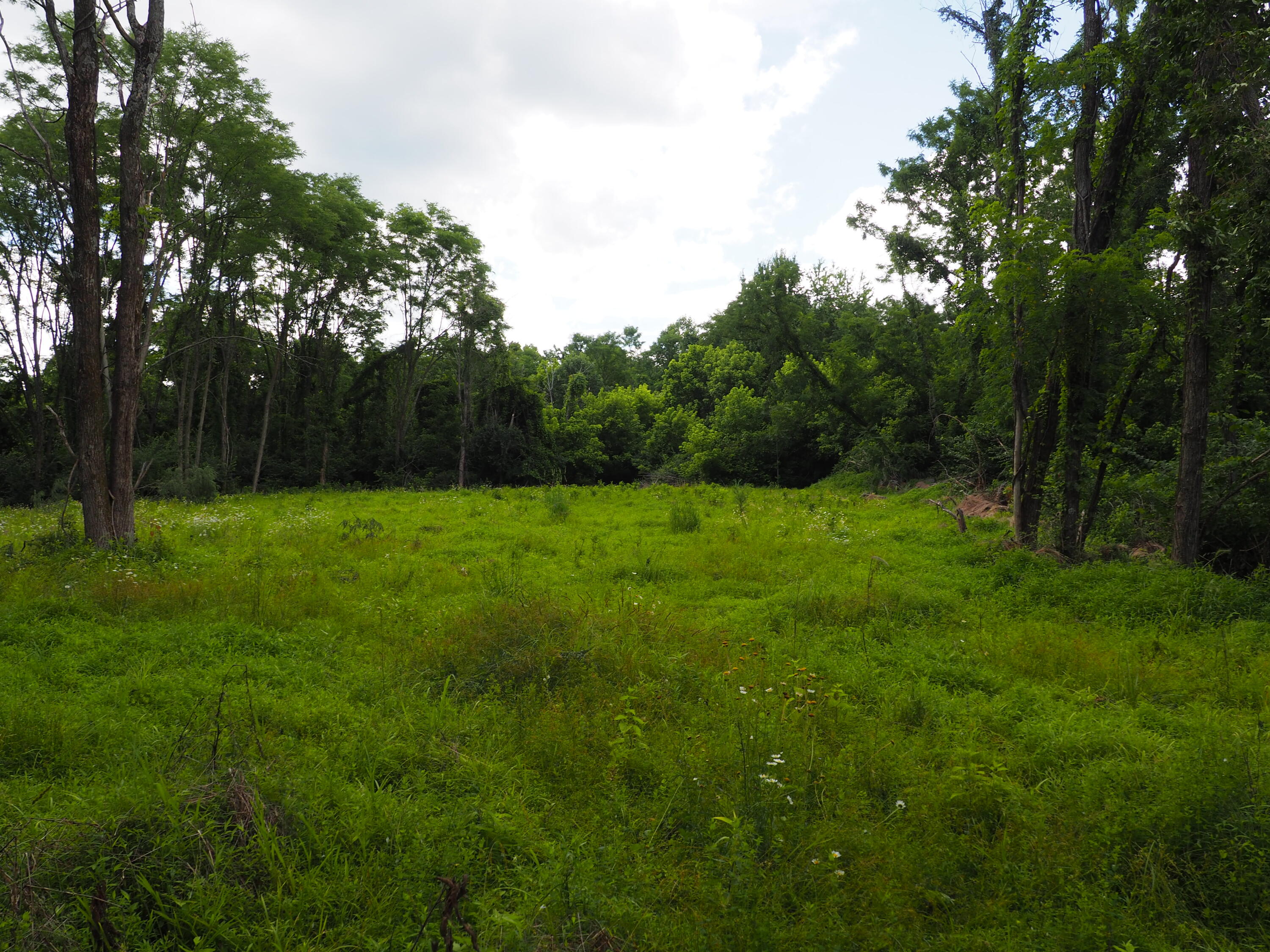 8185 Camp Ernst Road Property Photo 2