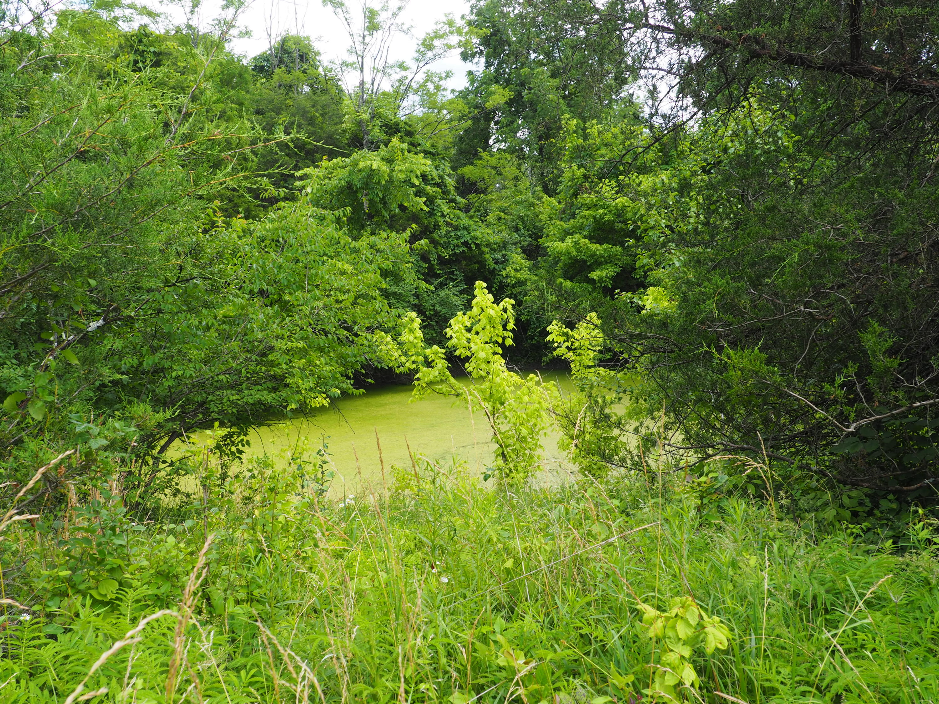 8185 Camp Ernst Road Property Photo 3