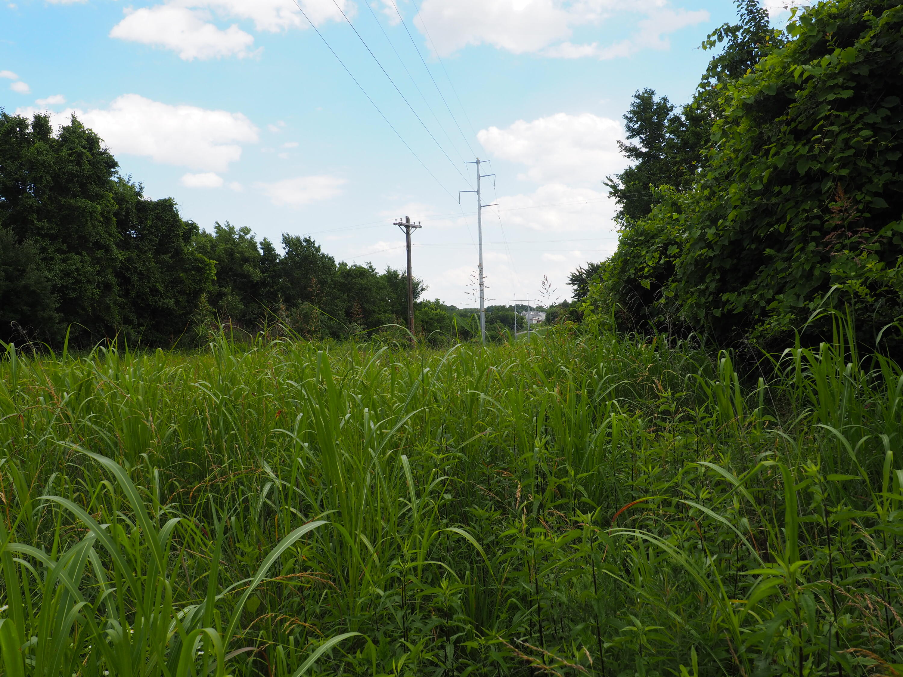 8185 Camp Ernst Road Property Photo 5