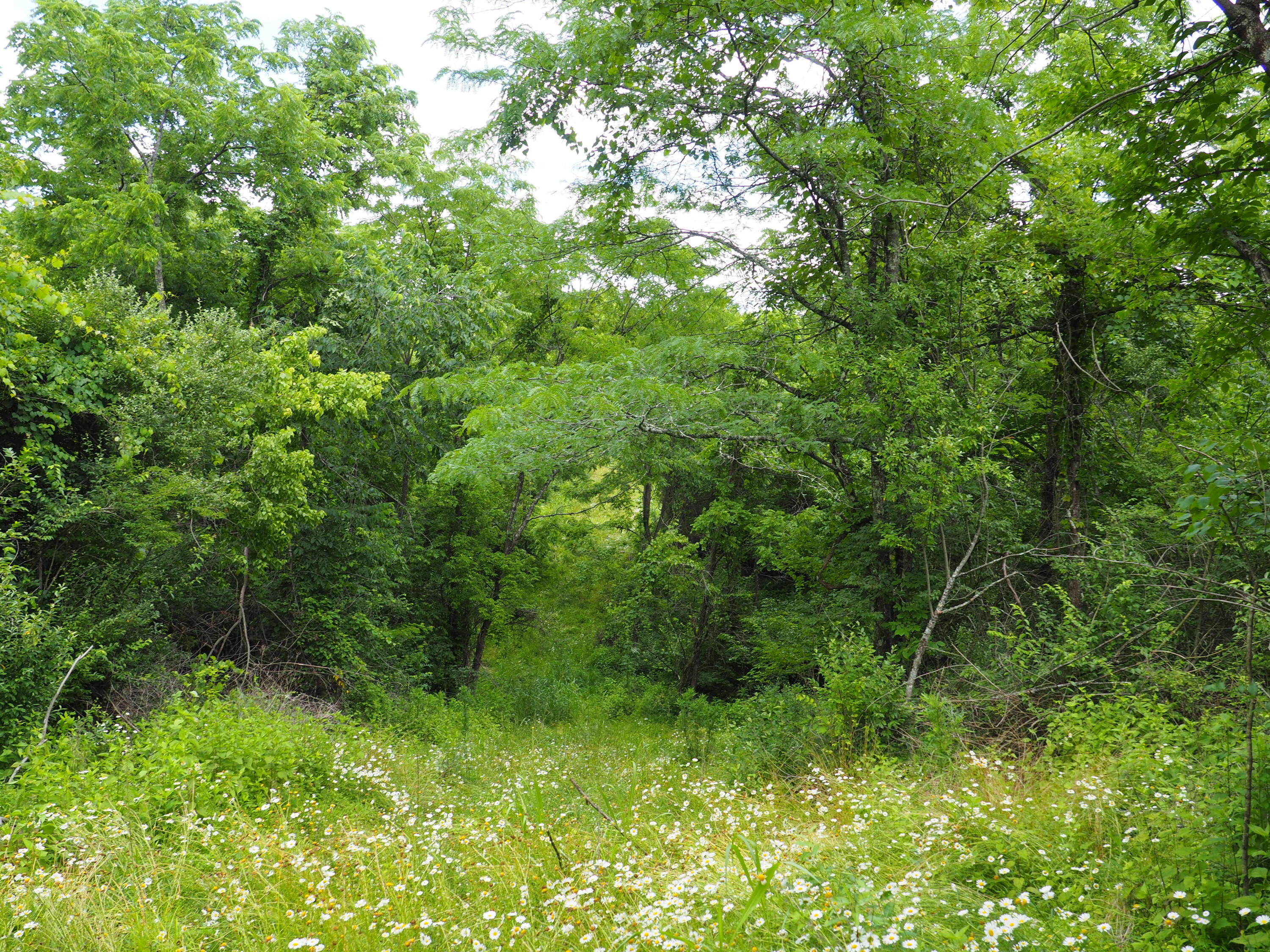 8185 Camp Ernst Road Property Photo 7