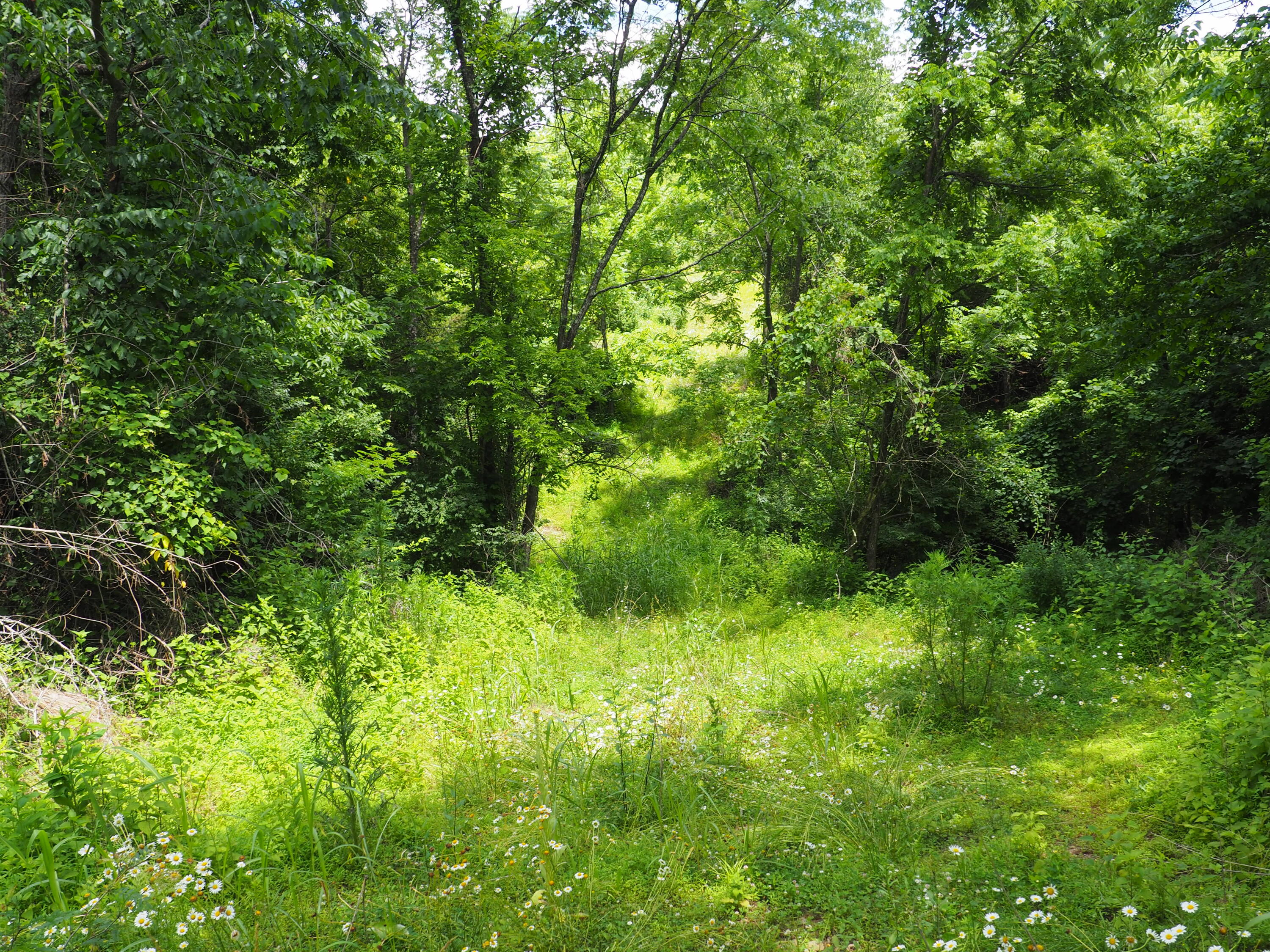 8185 Camp Ernst Road Property Photo 11