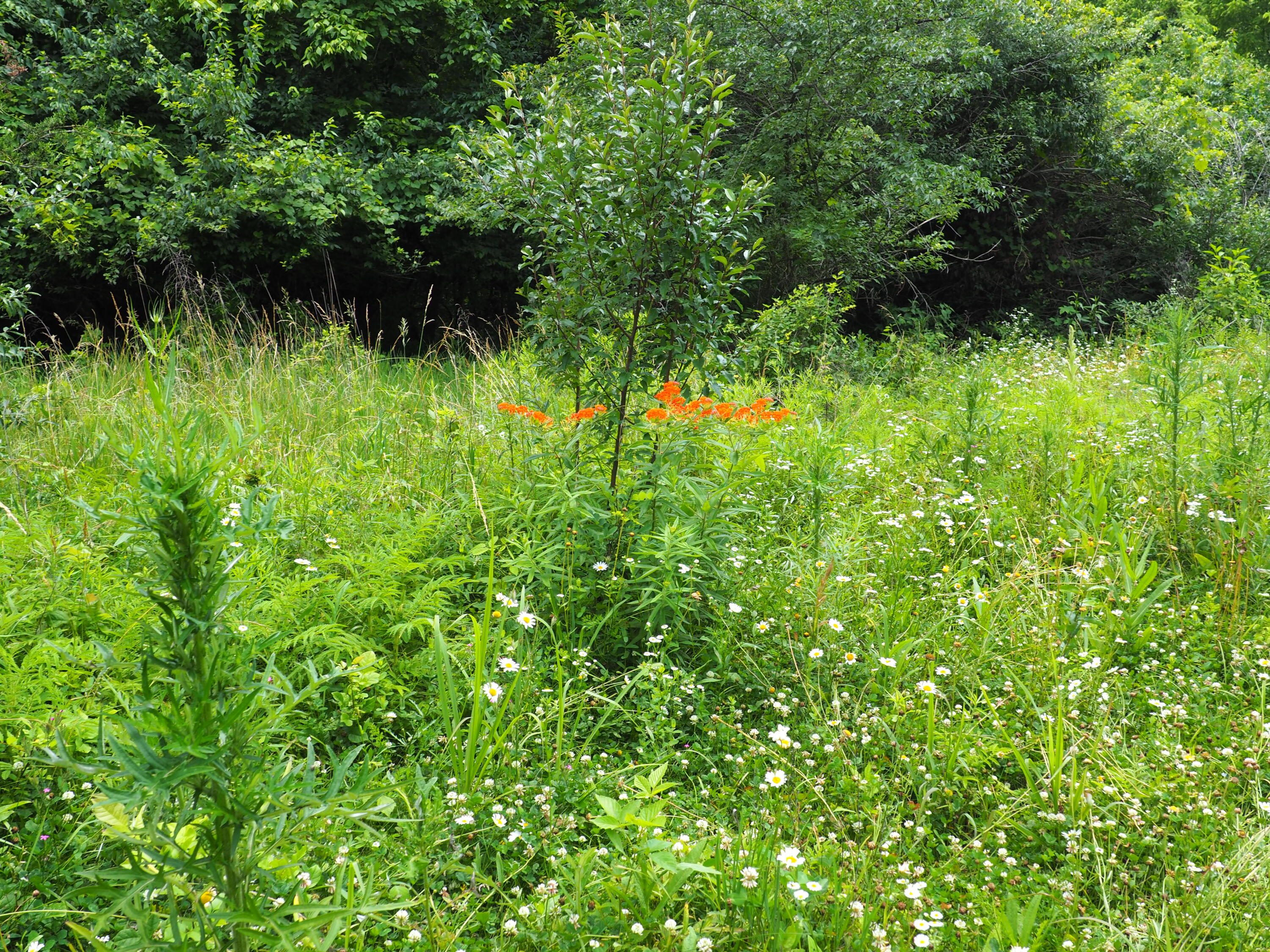 8185 Camp Ernst Road Property Photo 14