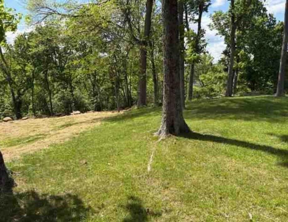 110 Broadview Place Property Photo 22