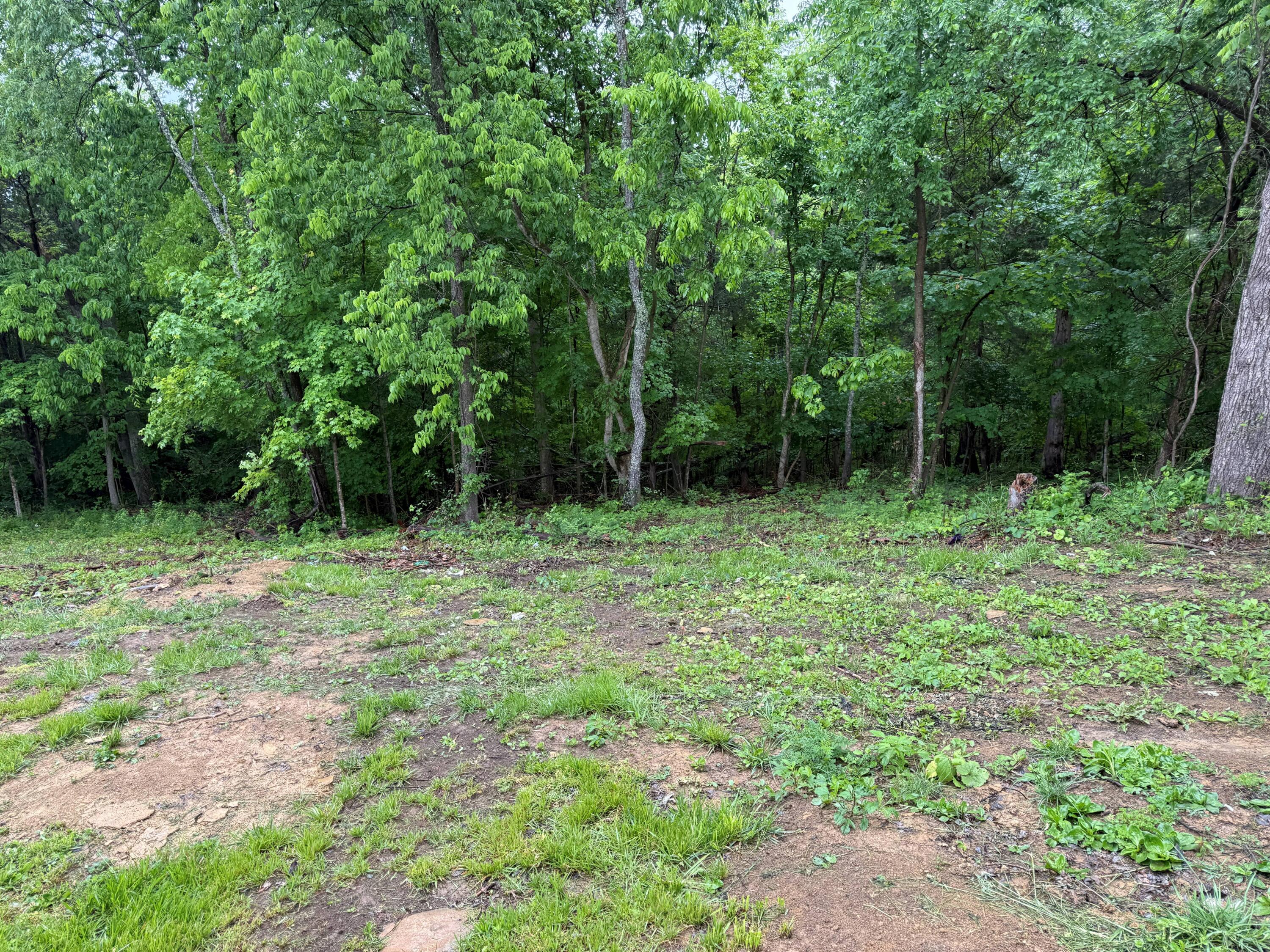 2105 S Highway 127 S Property Photo 29