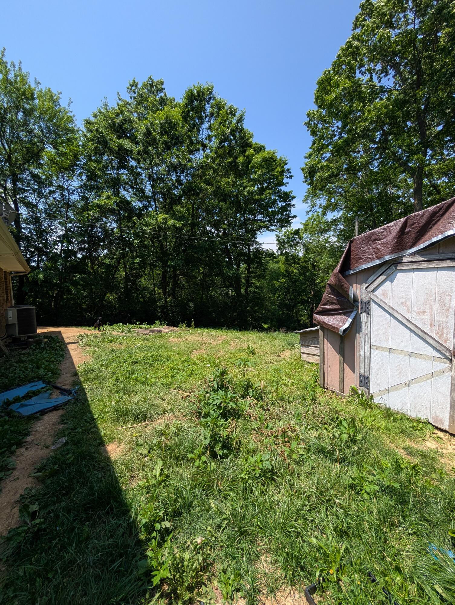 3775 Highway 455 Property Photo 10