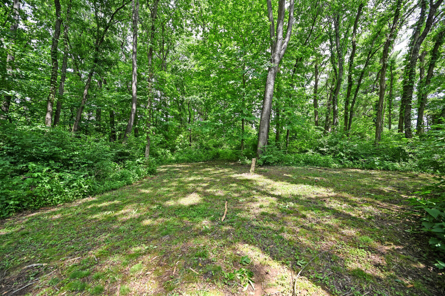 1044 Merrell Road Property Photo 44