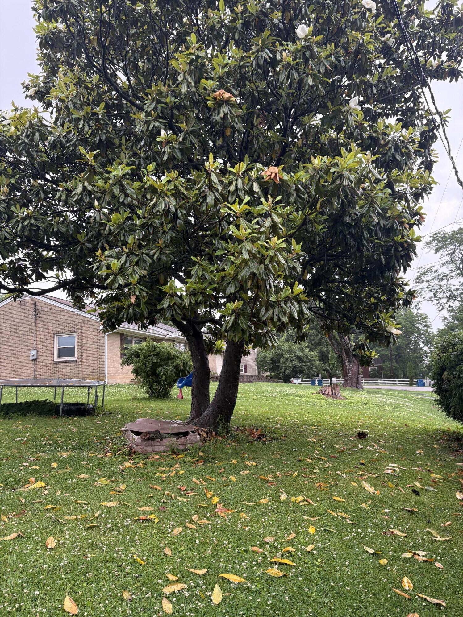 1 Garnett Avenue Property Photo 25