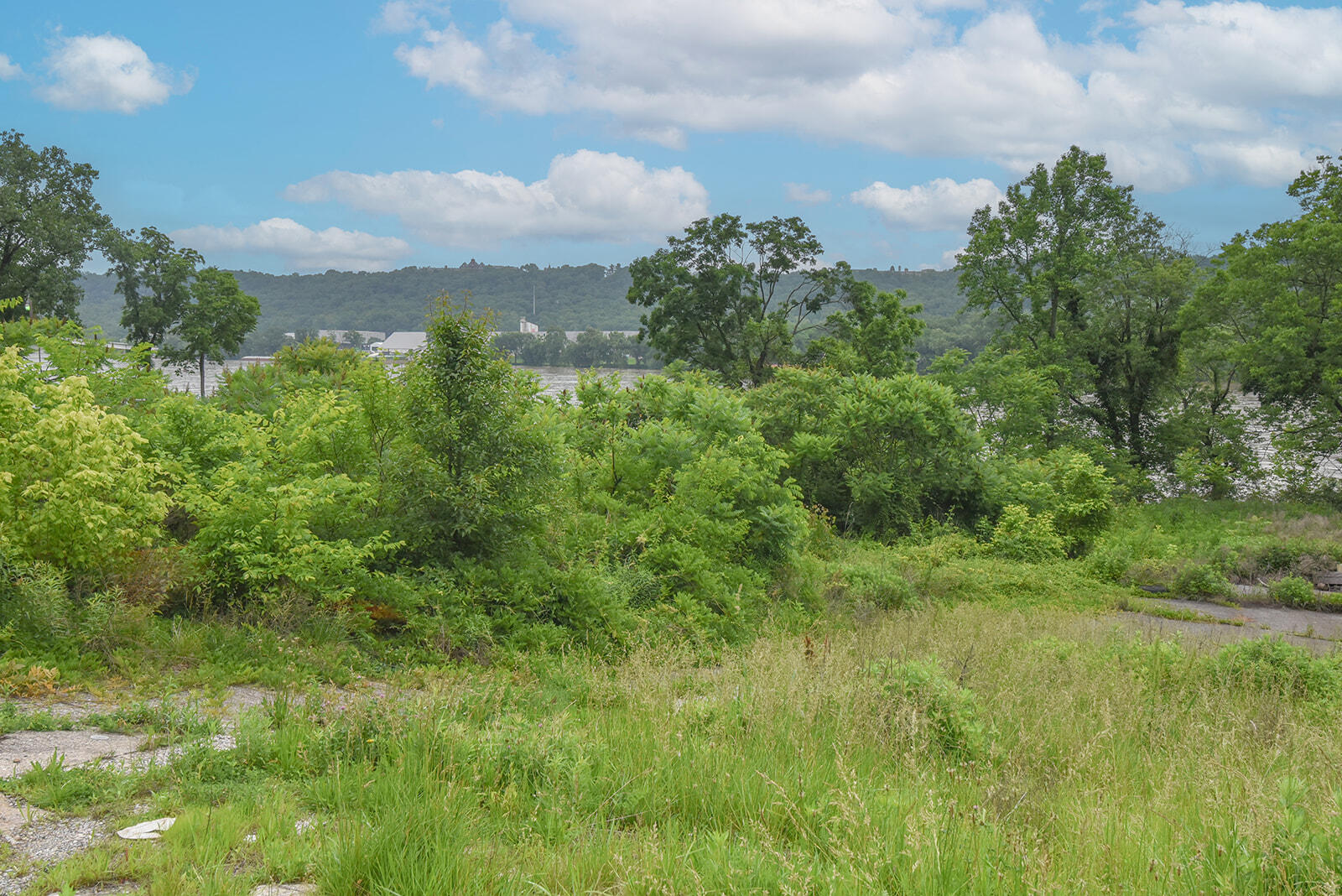 4768 River Road Property Photo 1
