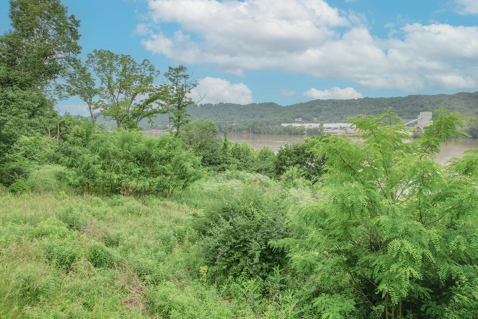 478 River Road Property Photo 12