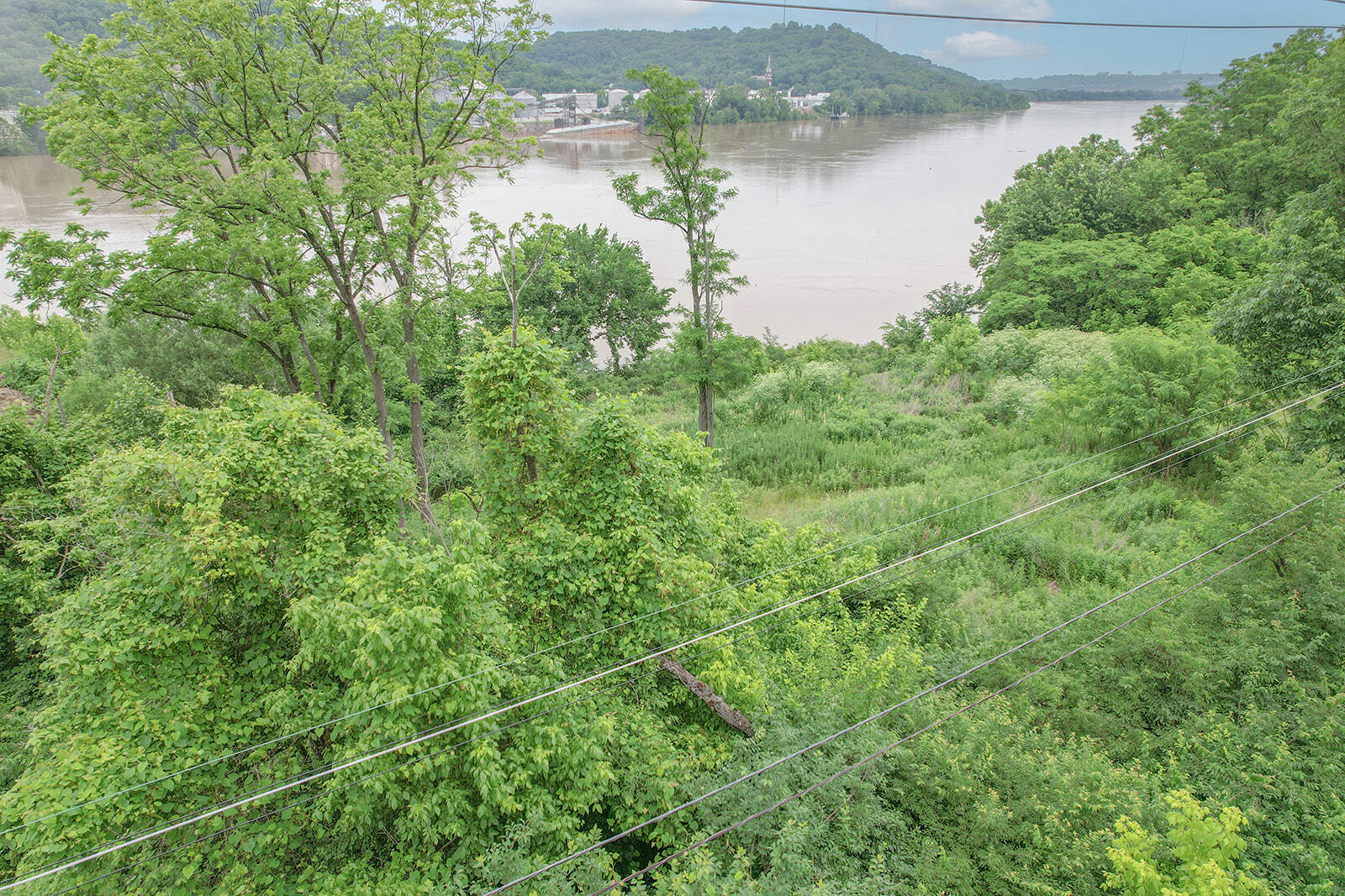478 River Road Property Photo 13