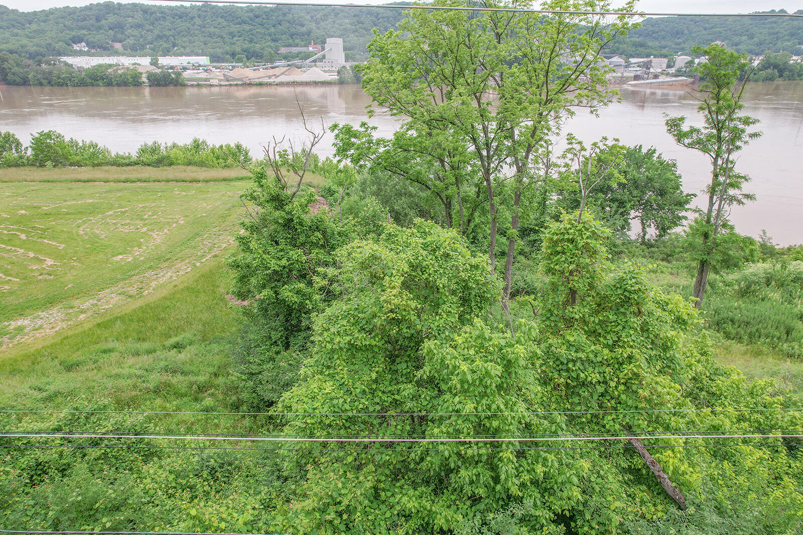 478 River Road Property Photo 14