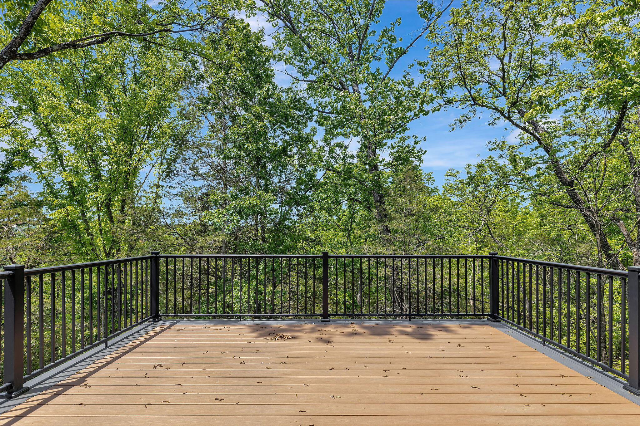 6903 E Alexandria Pke Pike Property Photo 36