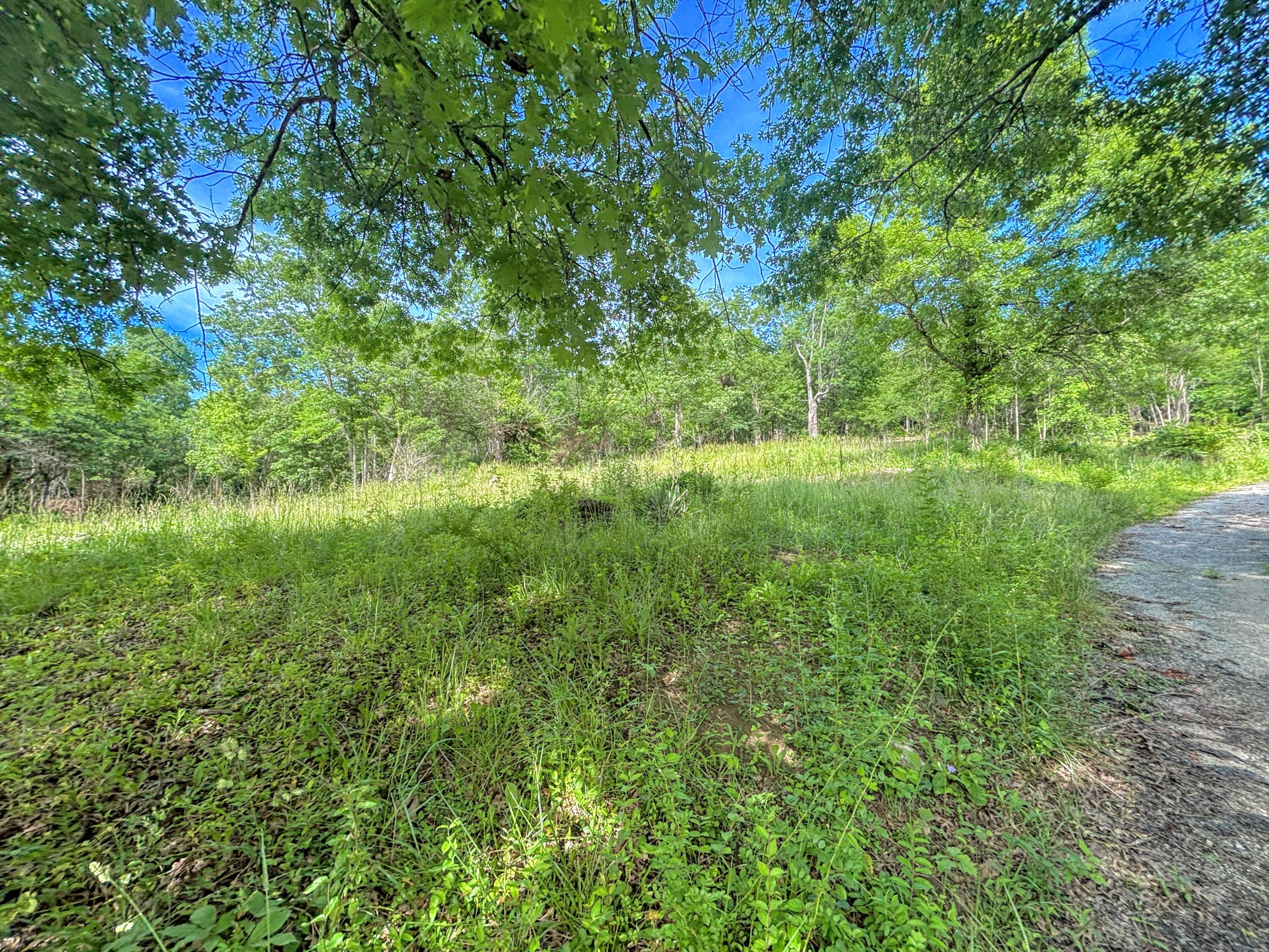 2012-2032 Worthington Drive Property Photo 6