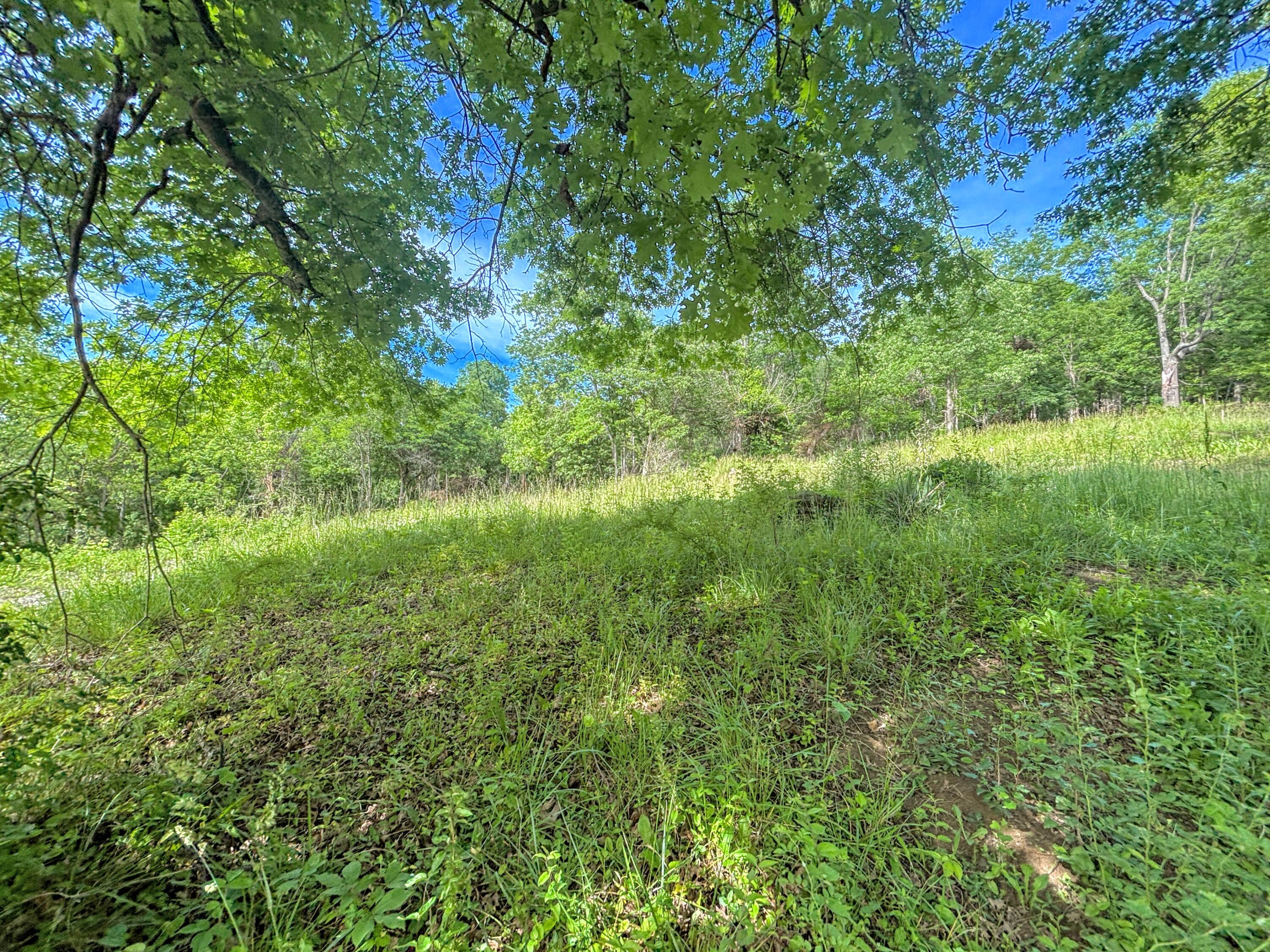 2012-2032 Worthington Drive Property Photo 7