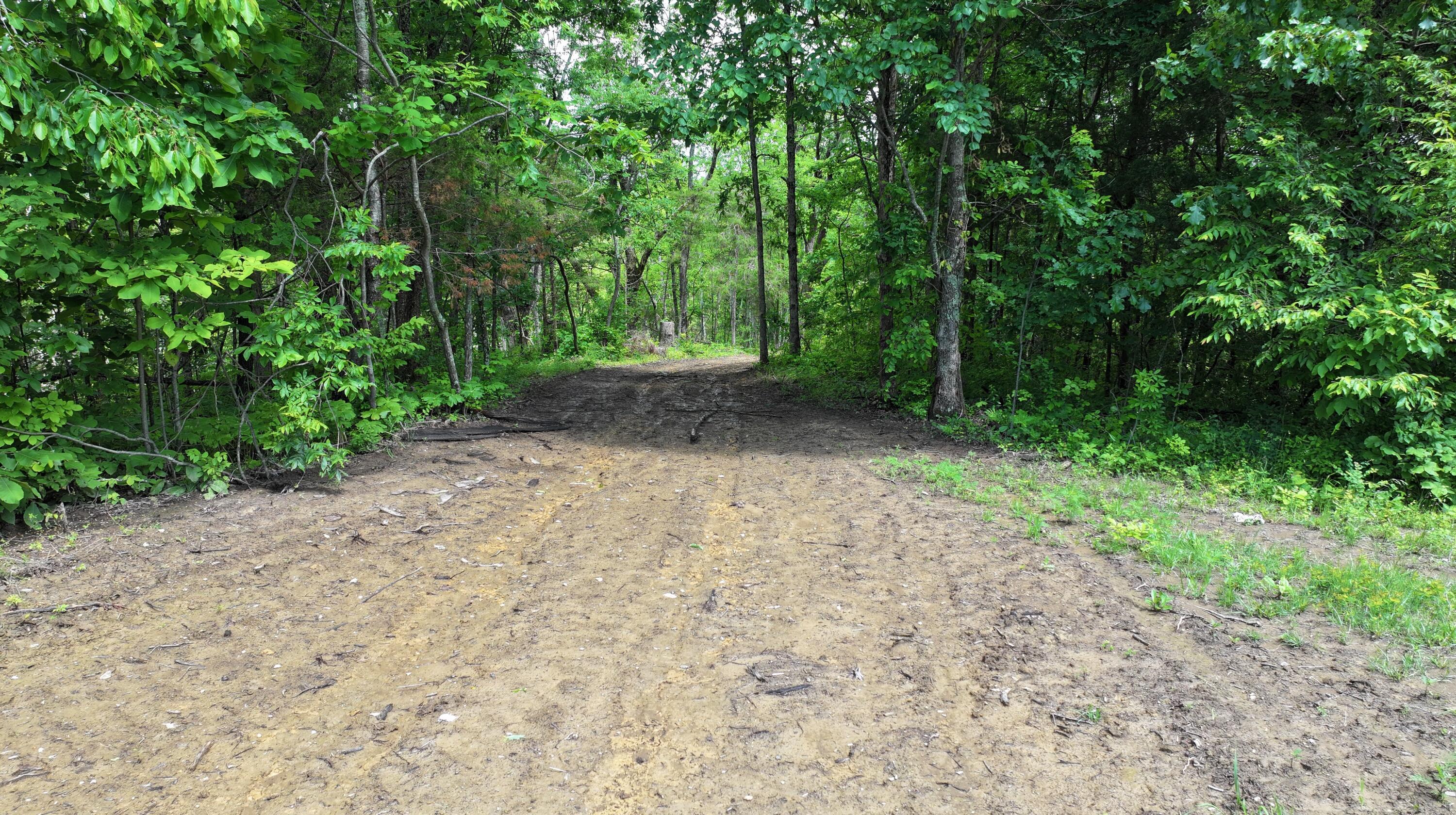 3990 Claxon Ridge Road Property Photo 5