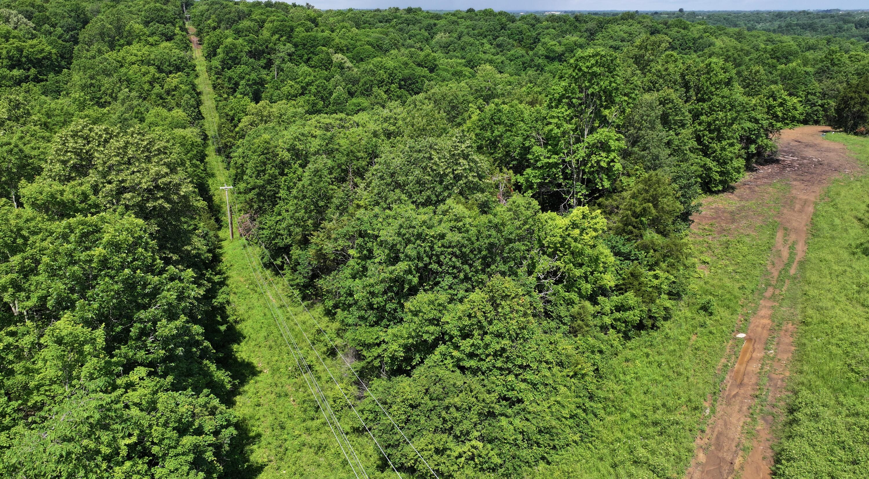 3990 Claxon Ridge Road Property Photo 7