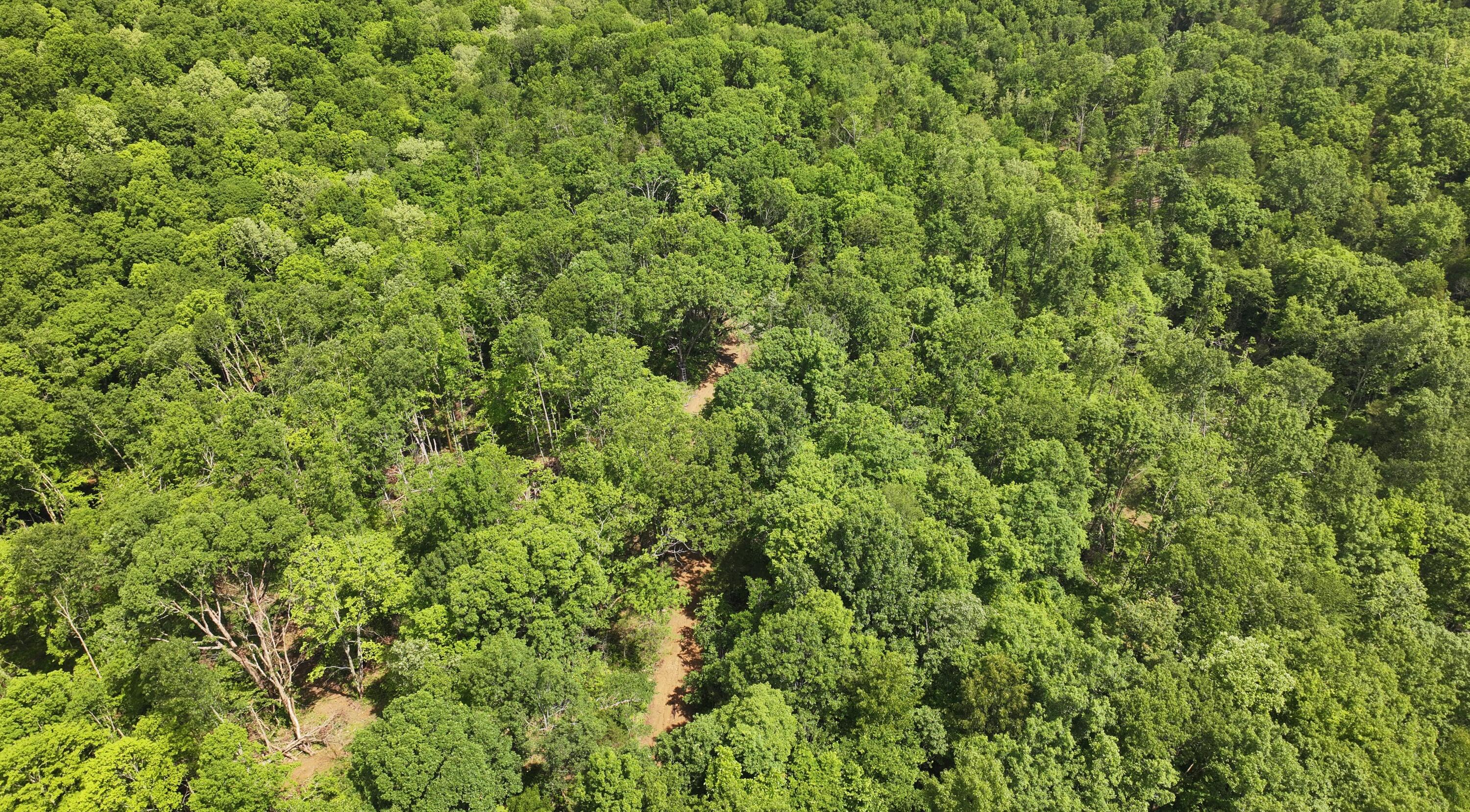 3990 Claxon Ridge Road Property Photo 11