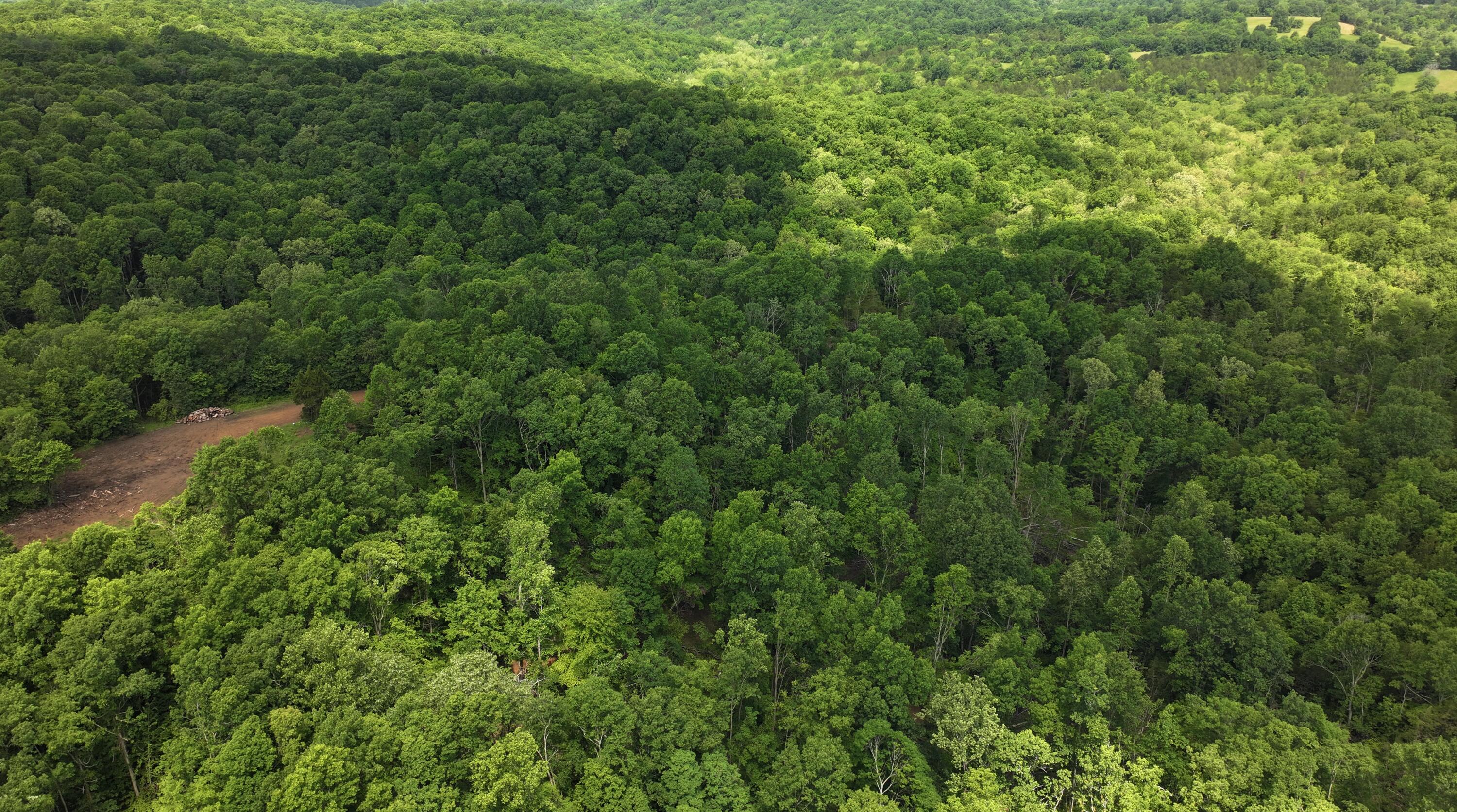3990 Claxon Ridge Road Property Photo 13
