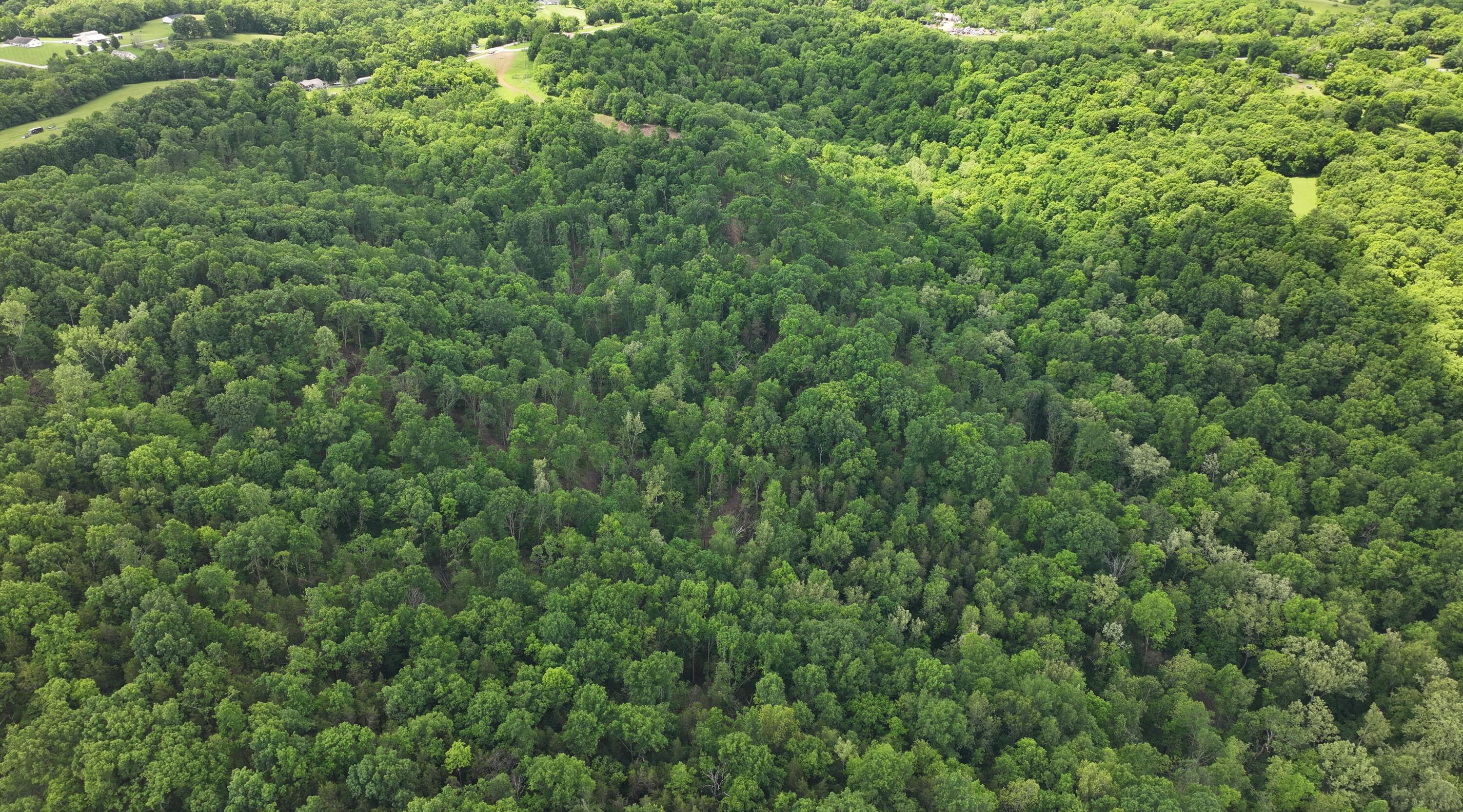 3990 Claxon Ridge Road Property Photo 16