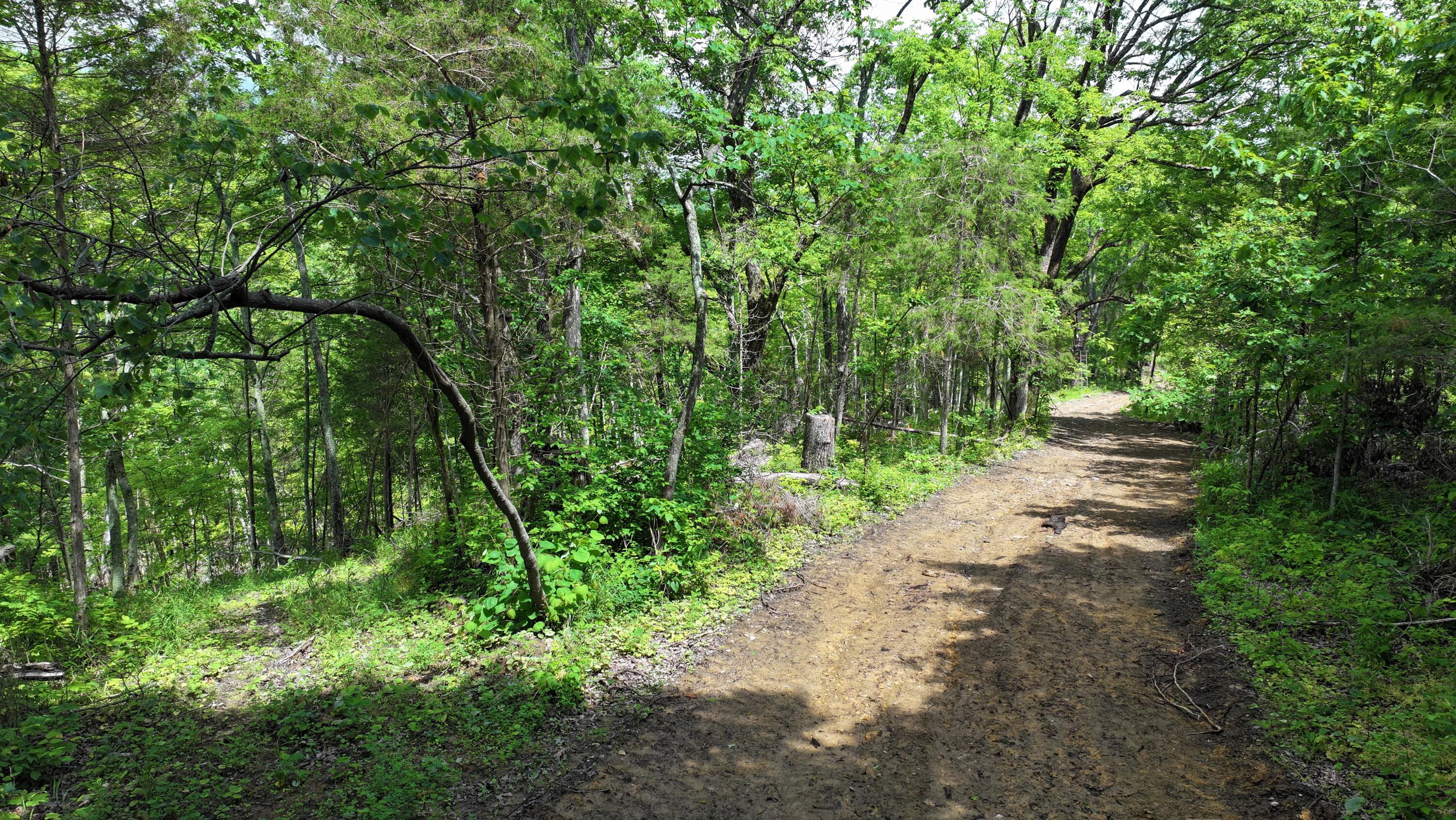 3990 Claxon Ridge Road Property Photo 17