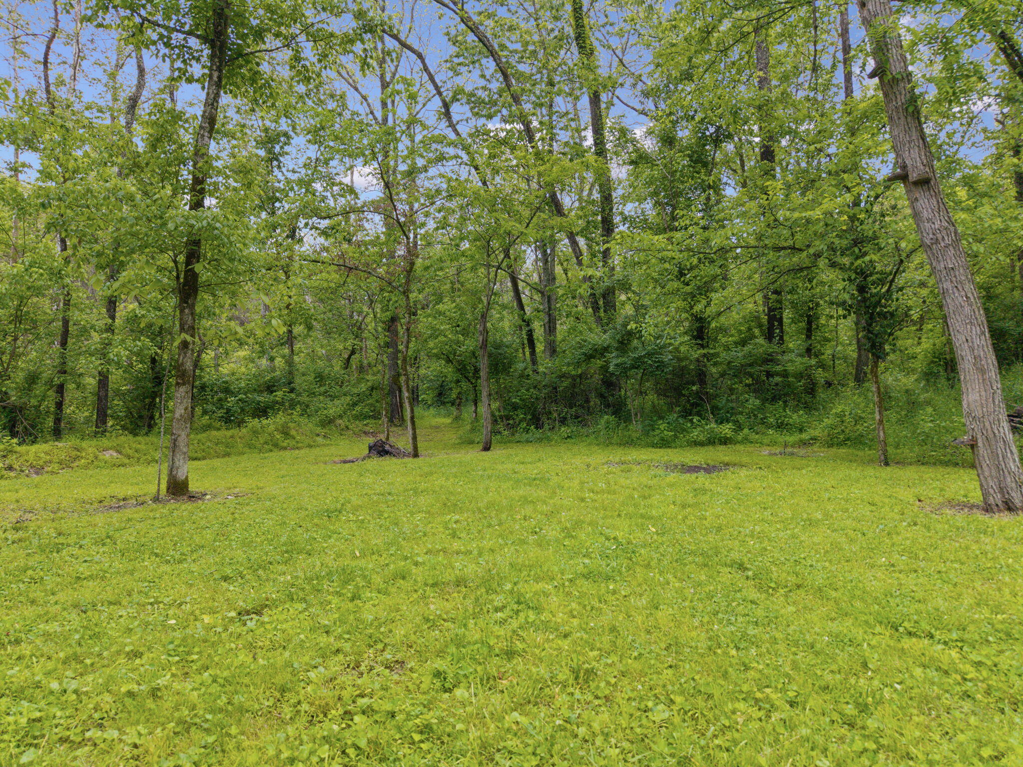 925 Lockmier Road Property Photo 6