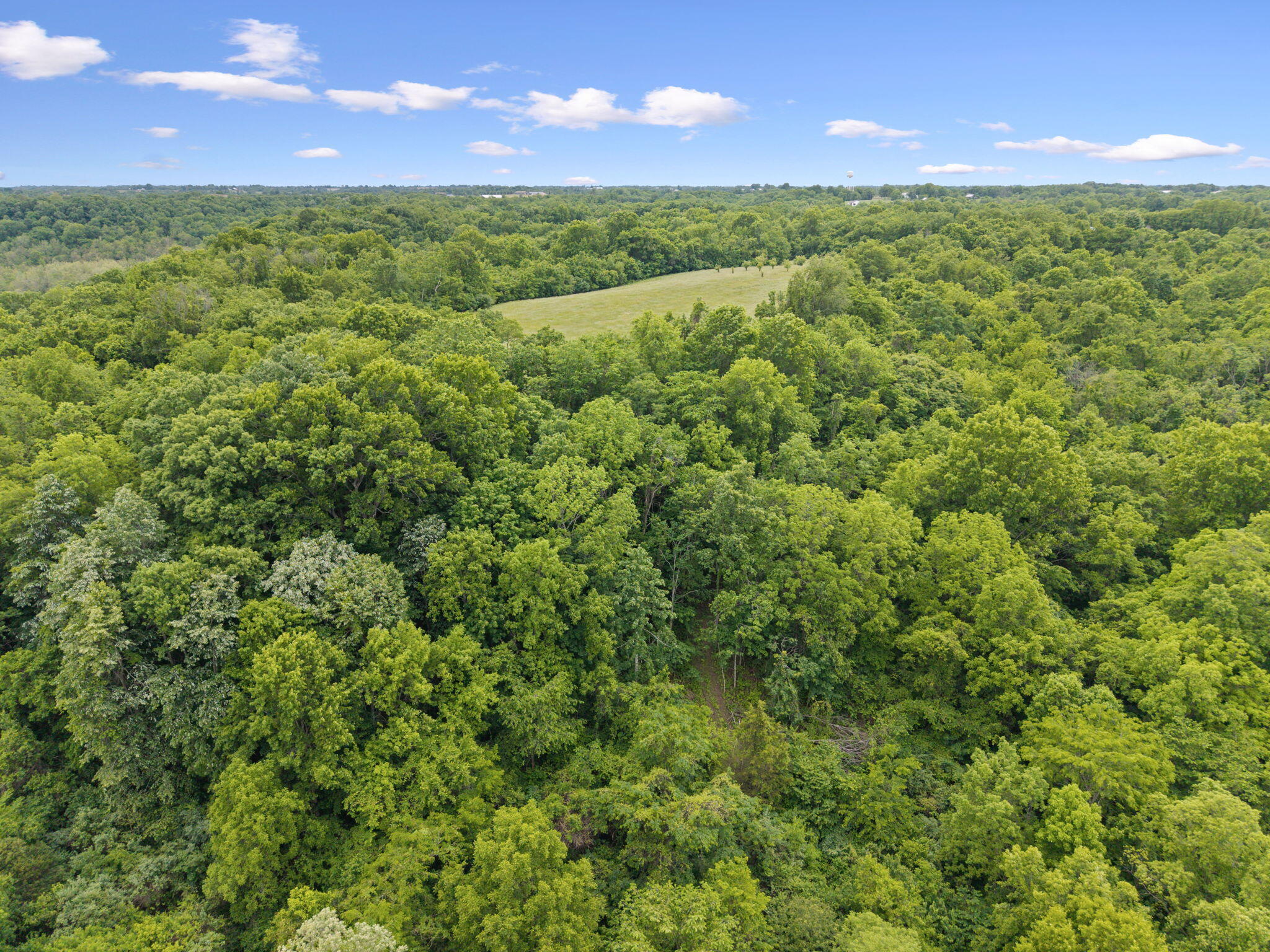 925 Lockmier Road Property Photo 38