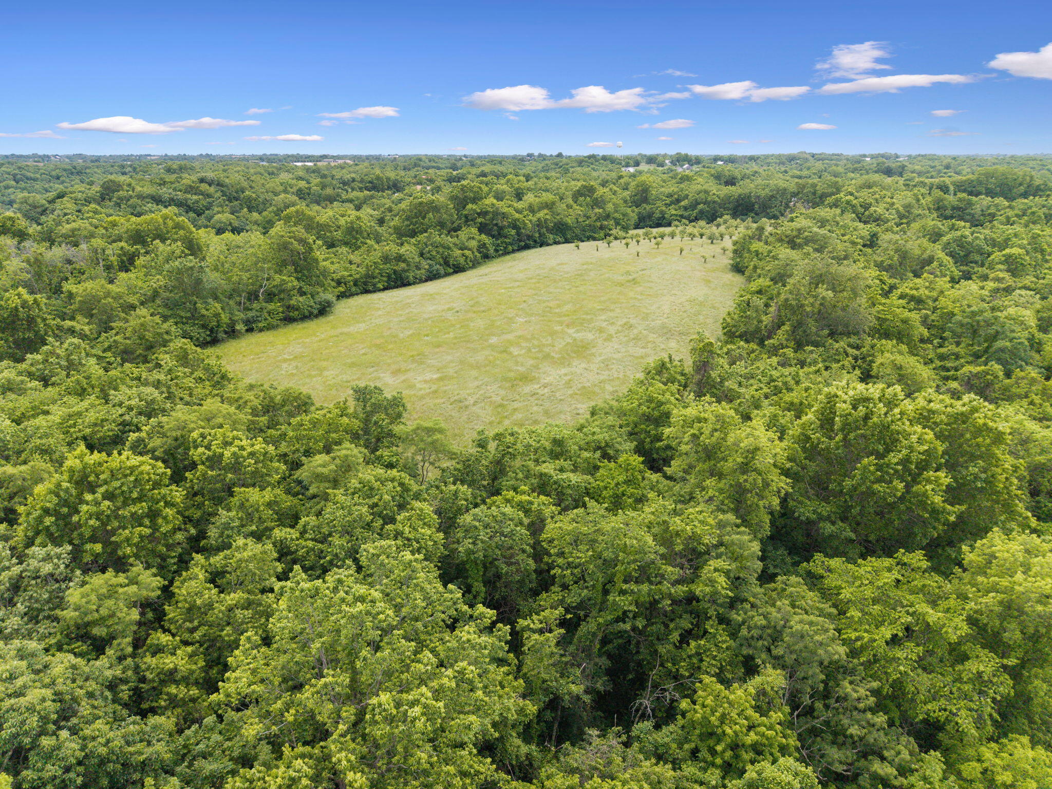 925 Lockmier Road Property Photo 40