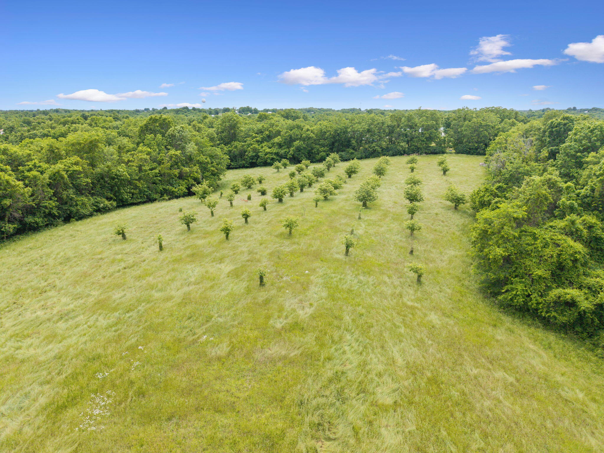 925 Lockmier Road Property Photo 43