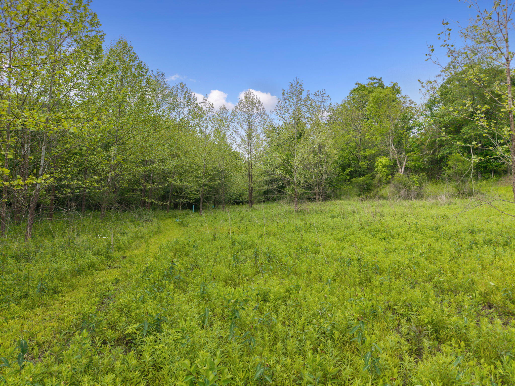 925 Lockmier Road Property Photo 45