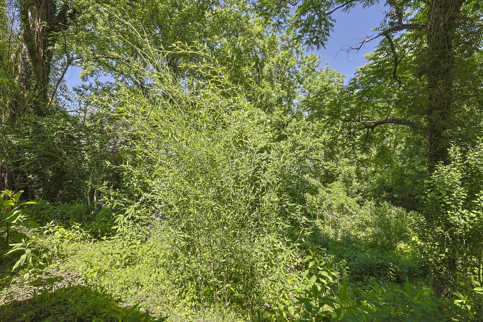 201 Cleveland Avenue Property Photo 37