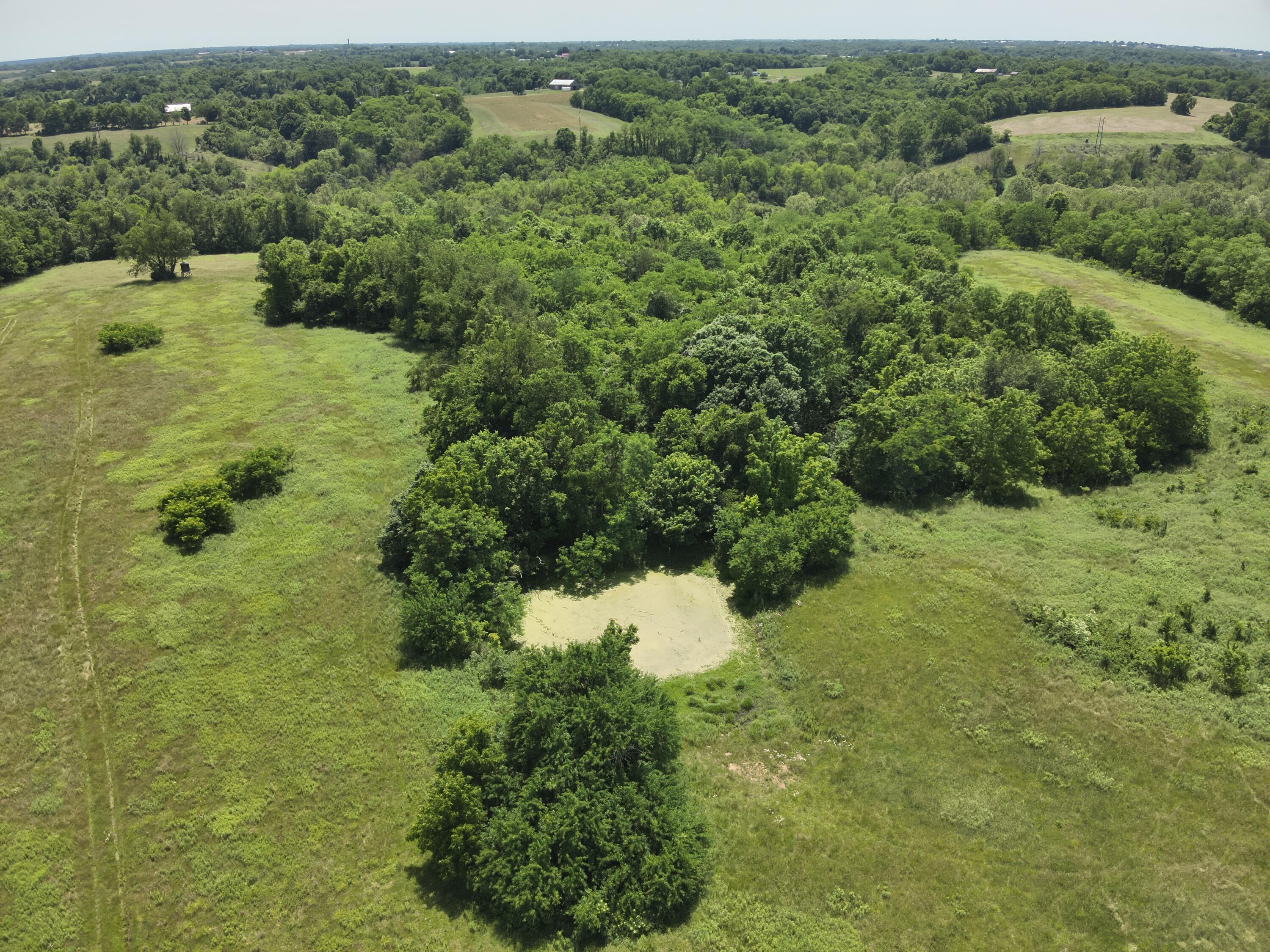 3110 Walton Pike Property Photo 2