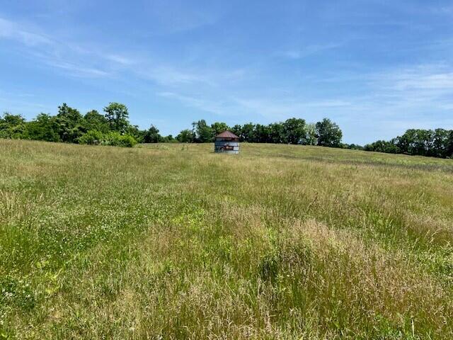 3110 Walton Pike Property Photo 4