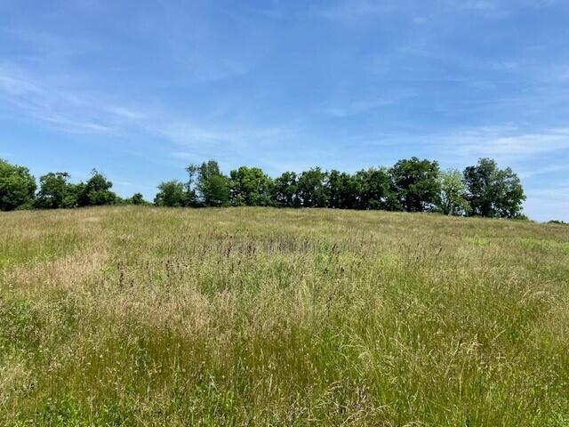 3110 Walton Pike Property Photo 6