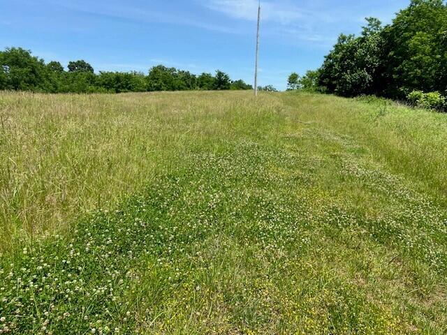 3110 Walton Pike Property Photo 16