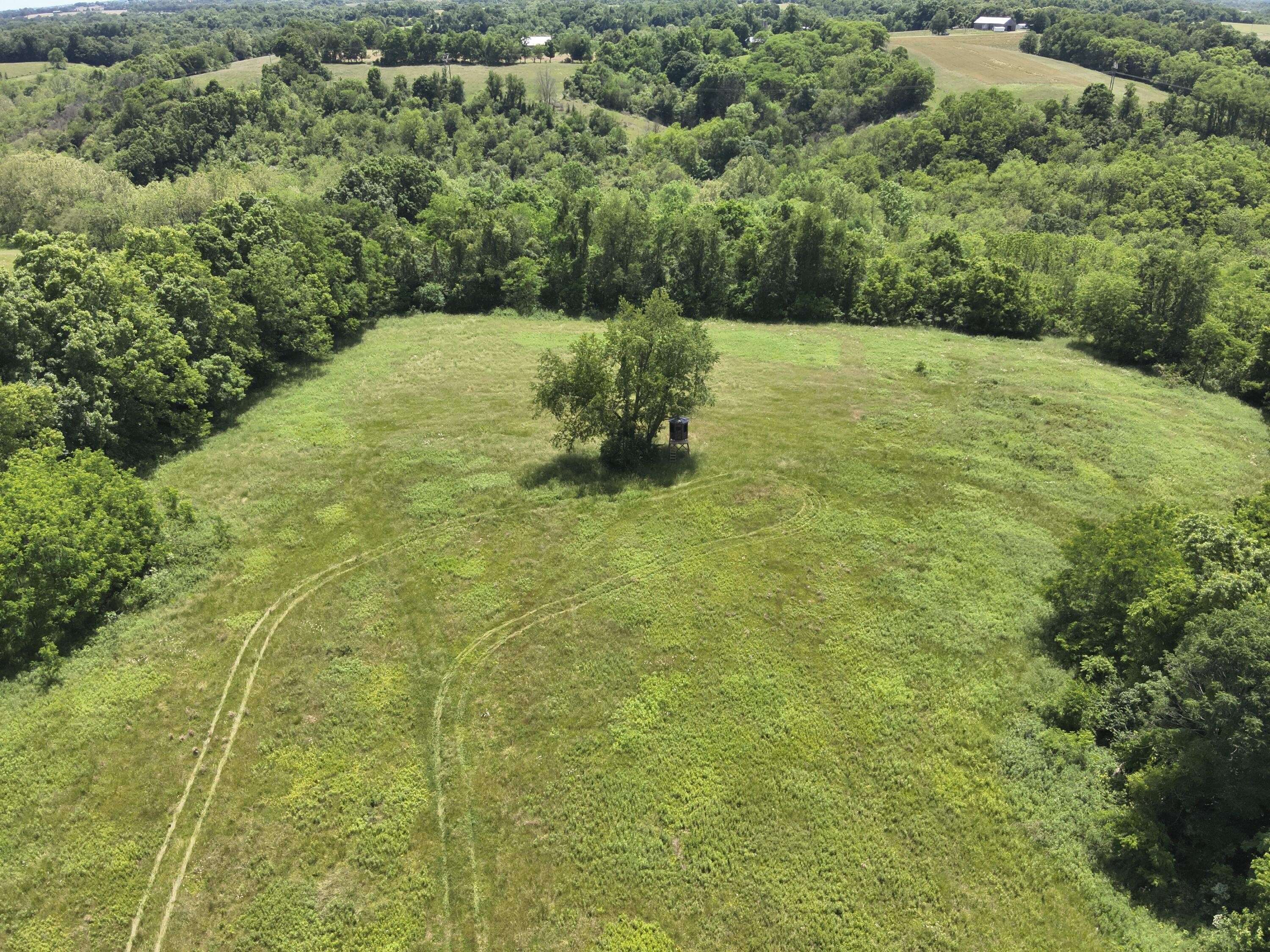3110 Walton Pike Property Photo 18