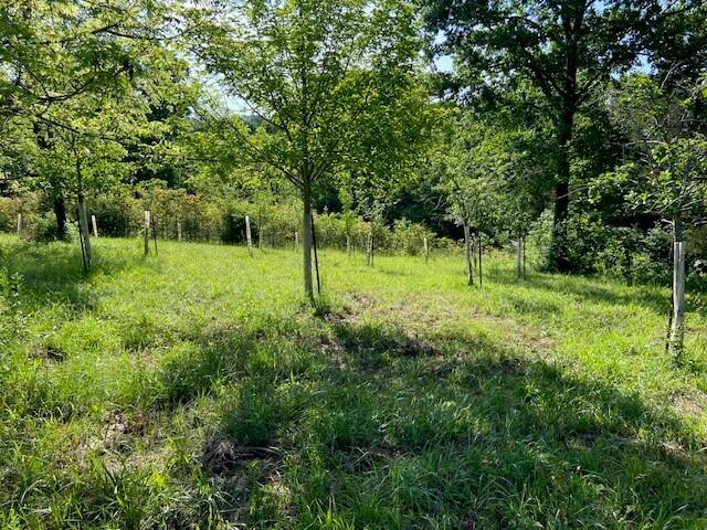0 Mann Road Property Photo 6