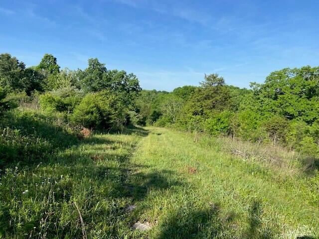 0 Mann Road Property Photo 8
